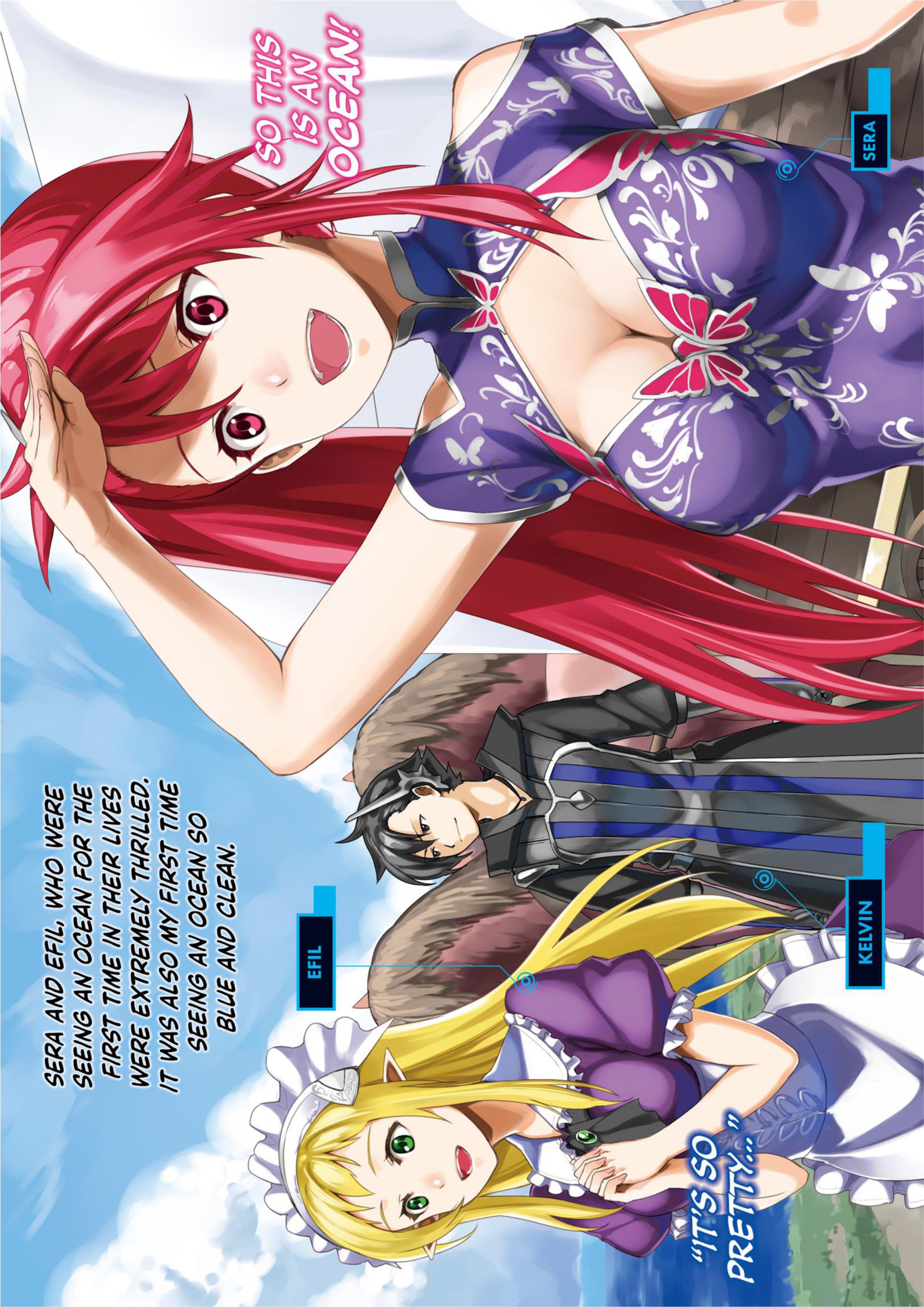 Kuro no Shoukanshi V2 Illustration - Megumi Novel
