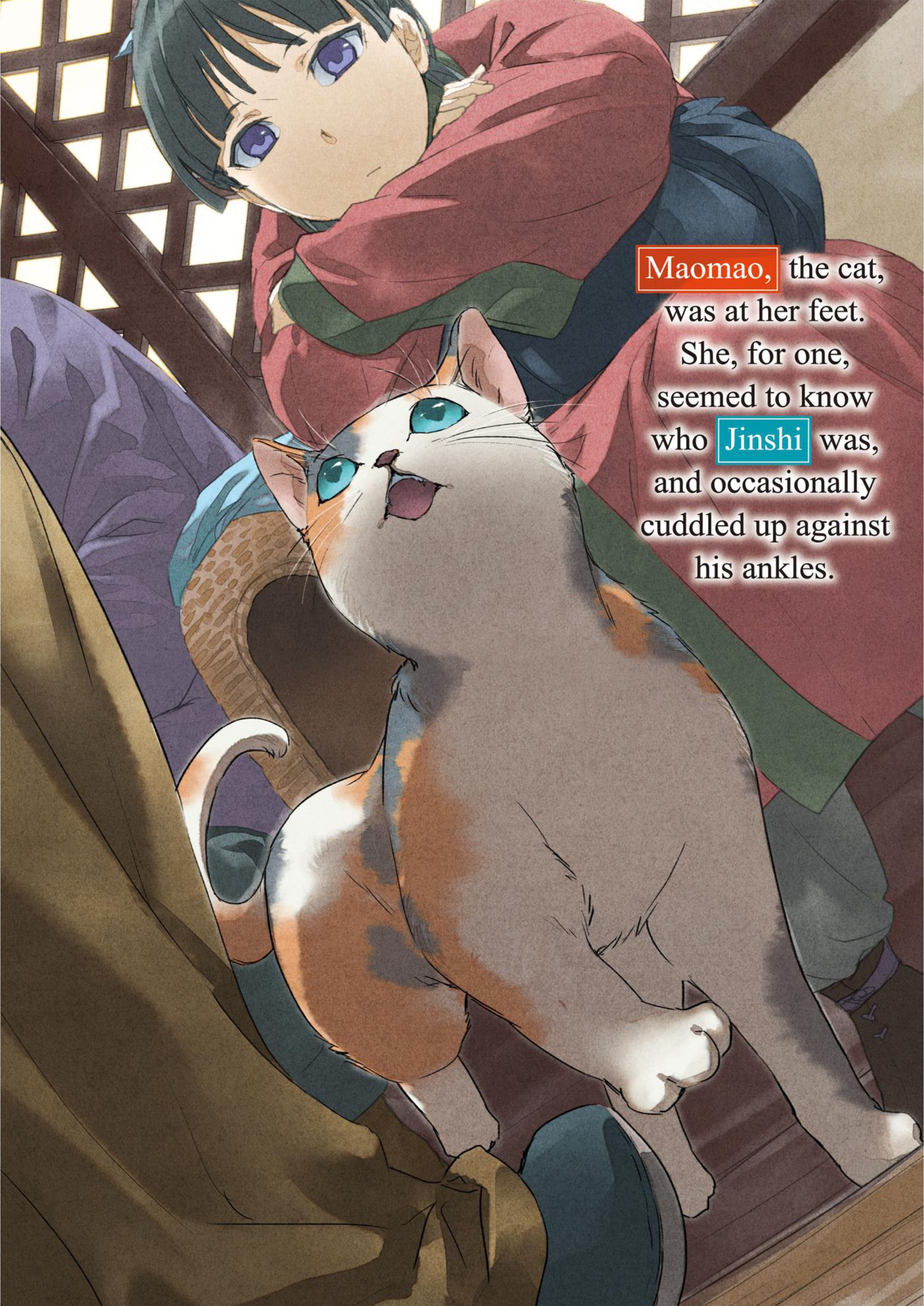 Kusuriya no Hitorigoto V5 Illustration - Megumi Novel