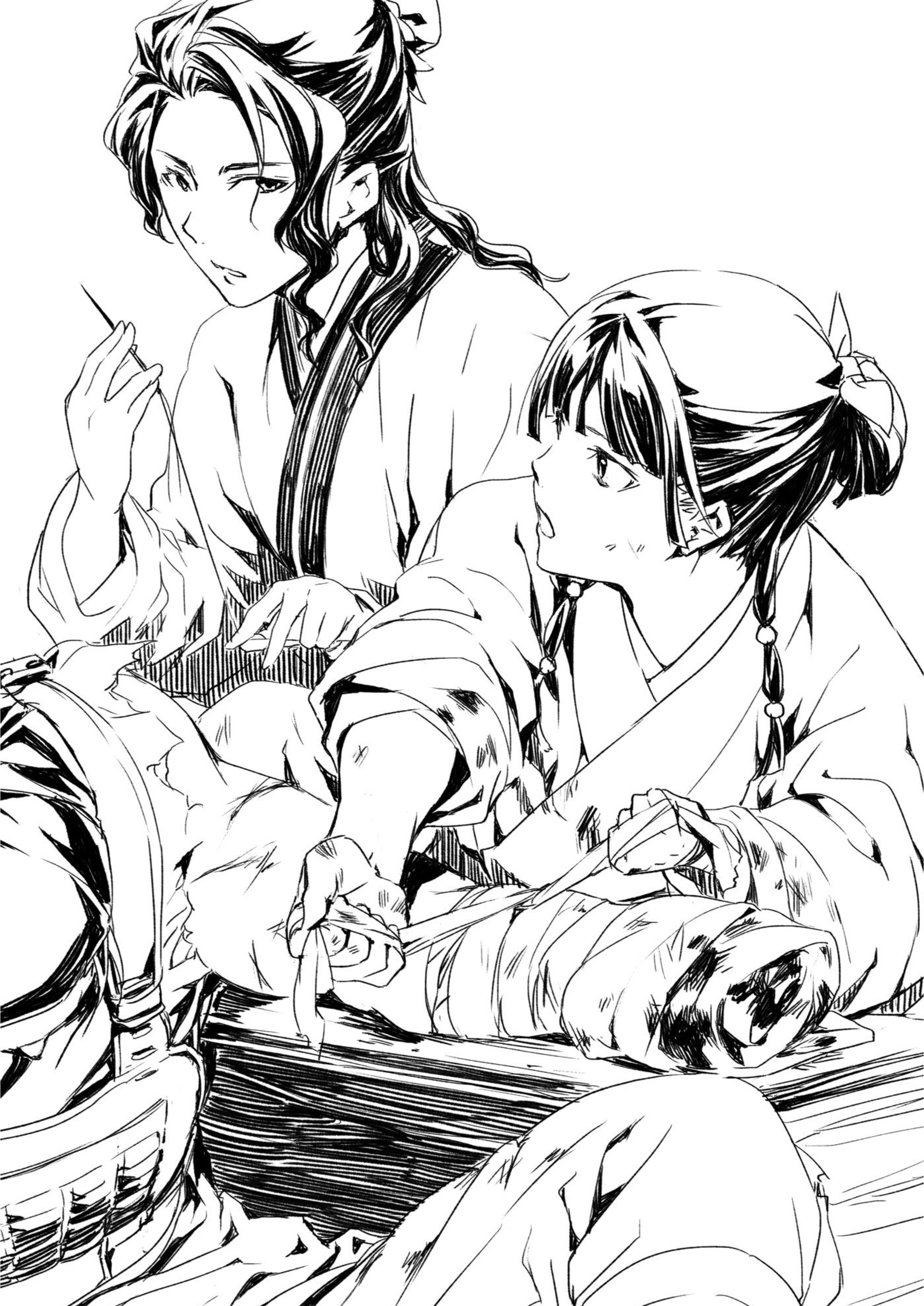 Kusuriya no Hitorigoto V5 Illustration - Megumi Novel