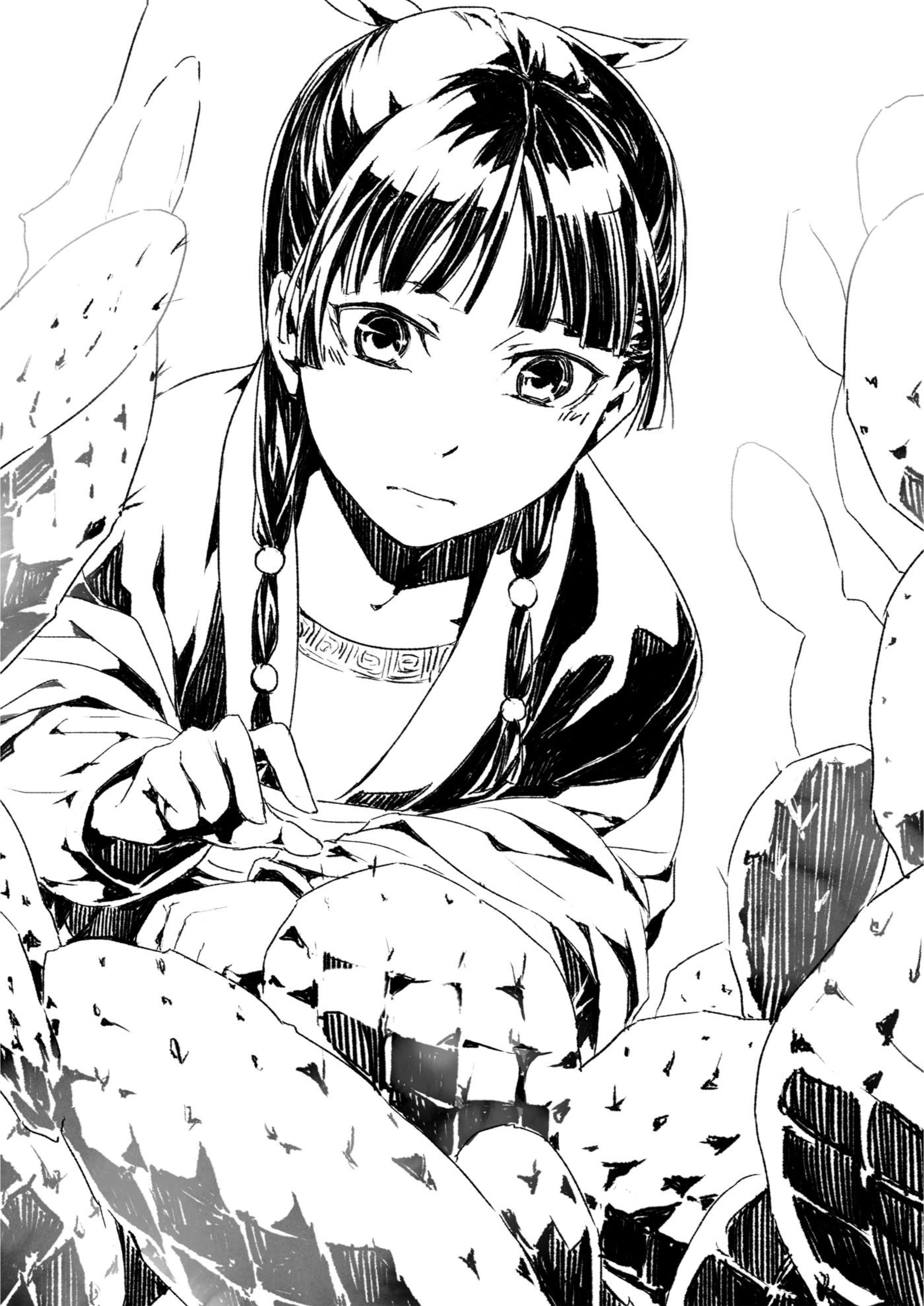 Kusuriya no Hitorigoto V5 Illustration - Megumi Novel