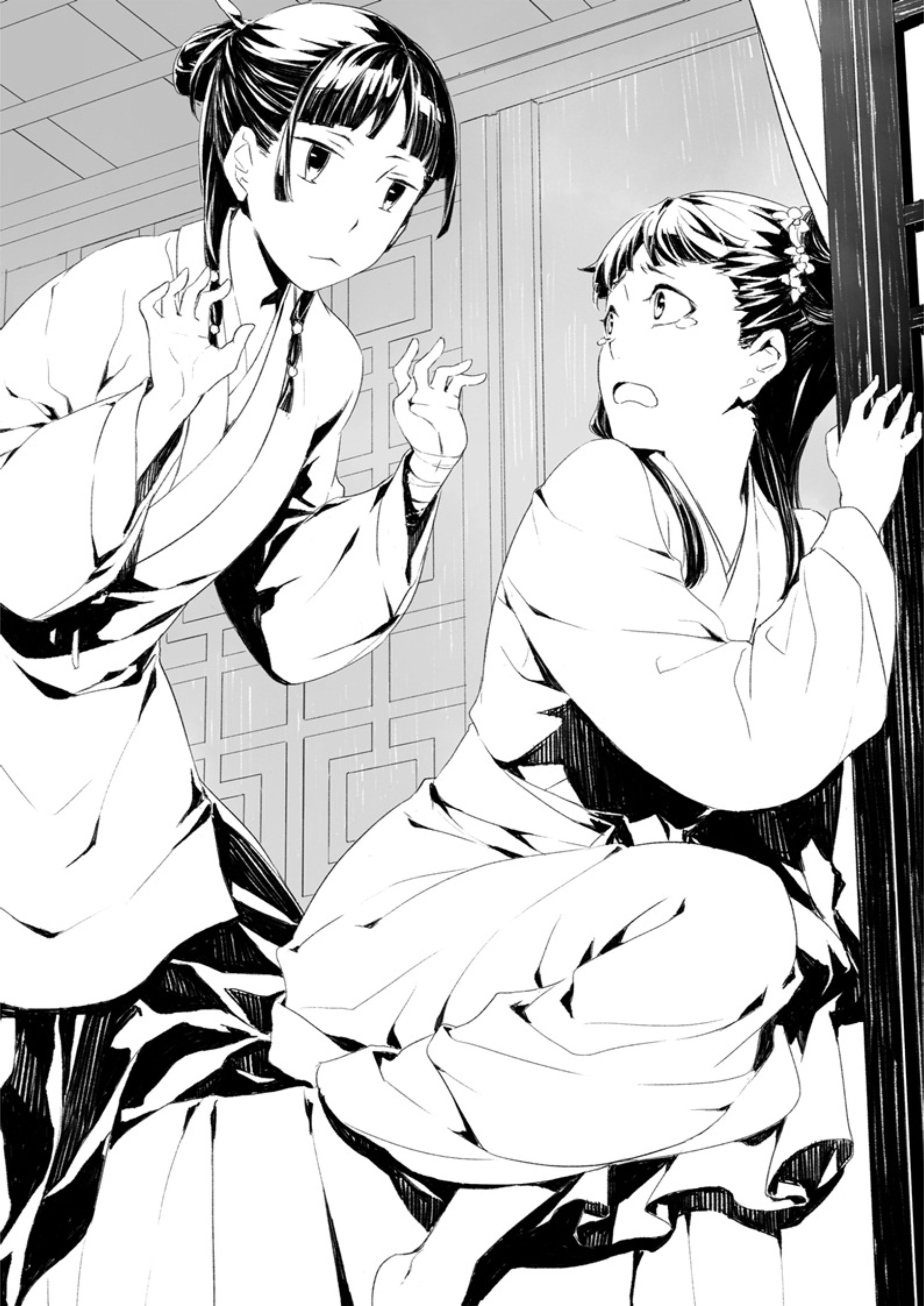 Kusuriya no Hitorigoto V6 Illustration - Megumi Novel