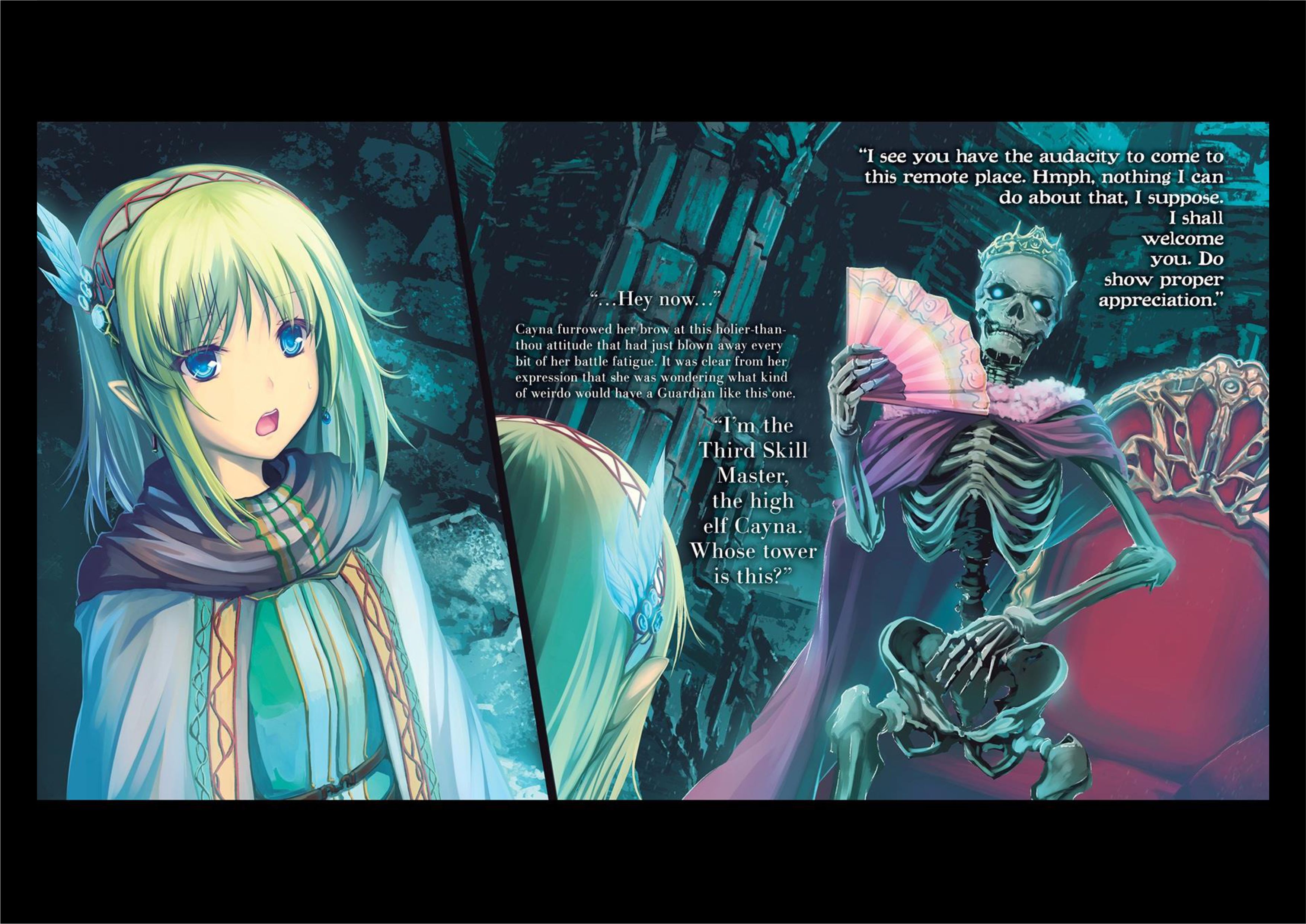 Leadale no Daichi nite V2 Illustration - Megumi Novel
