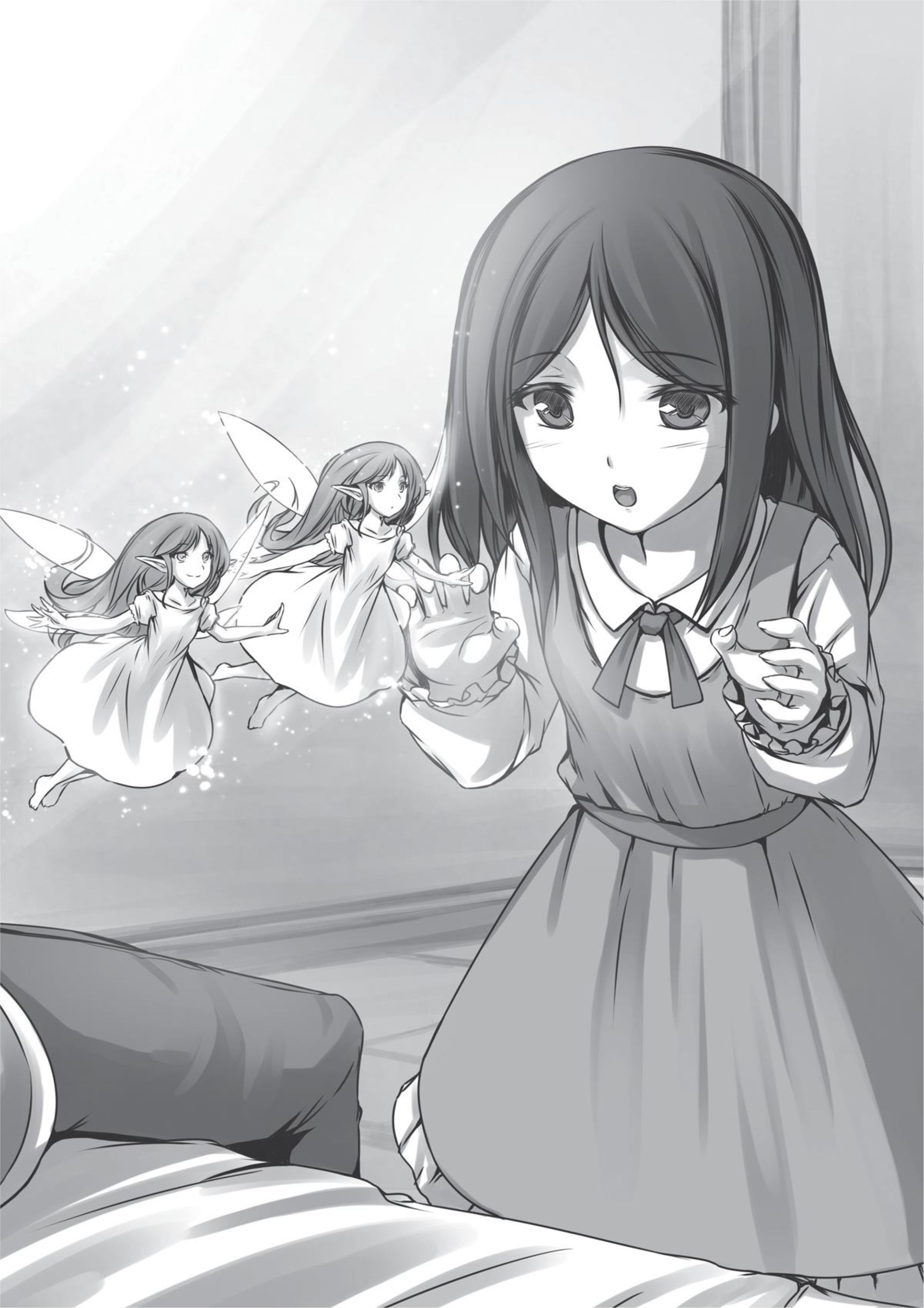 Leadale no Daichi nite V4 Illustration - Megumi Novel