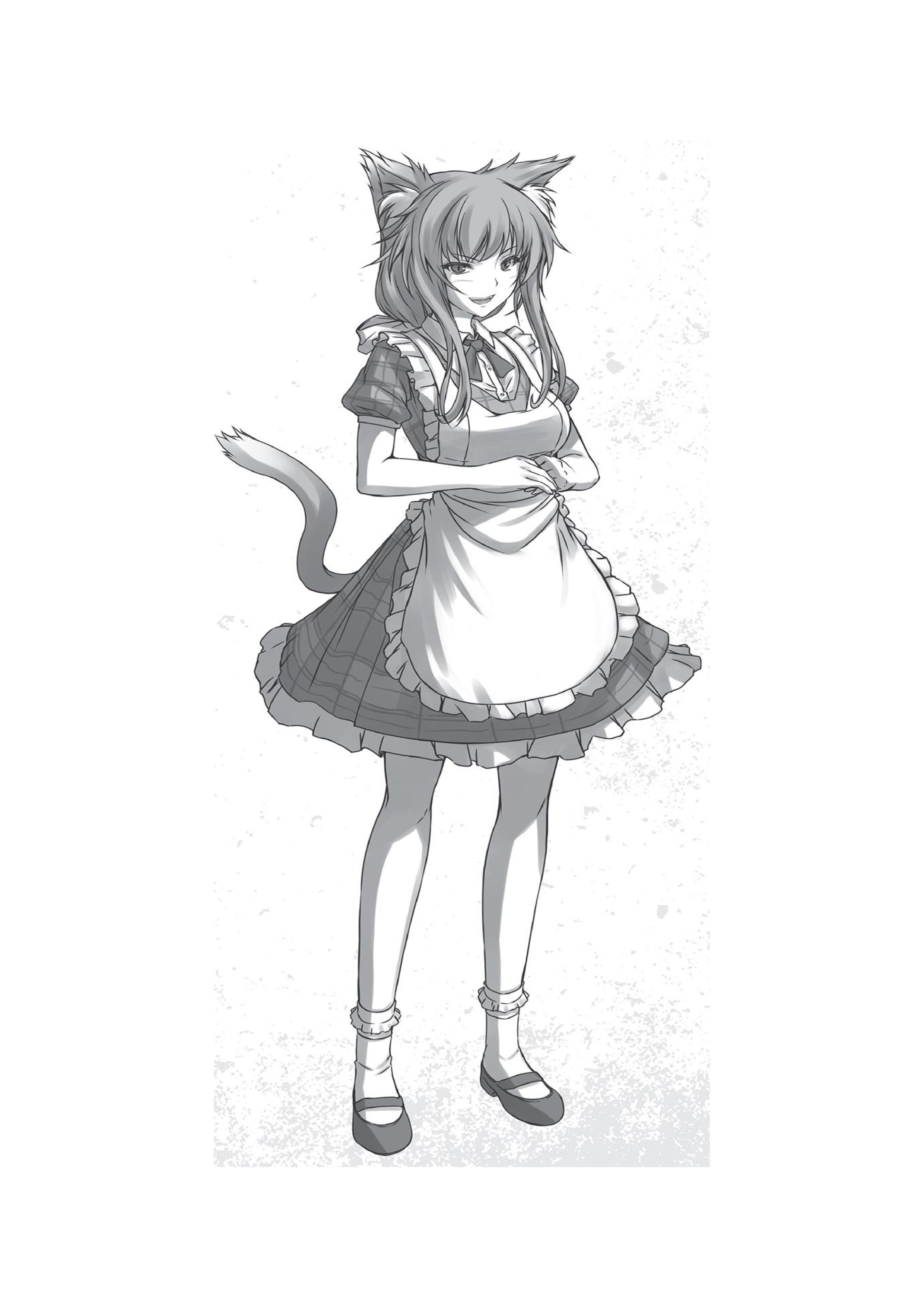 Leadale no Daichi nite V4 Illustration - Megumi Novel