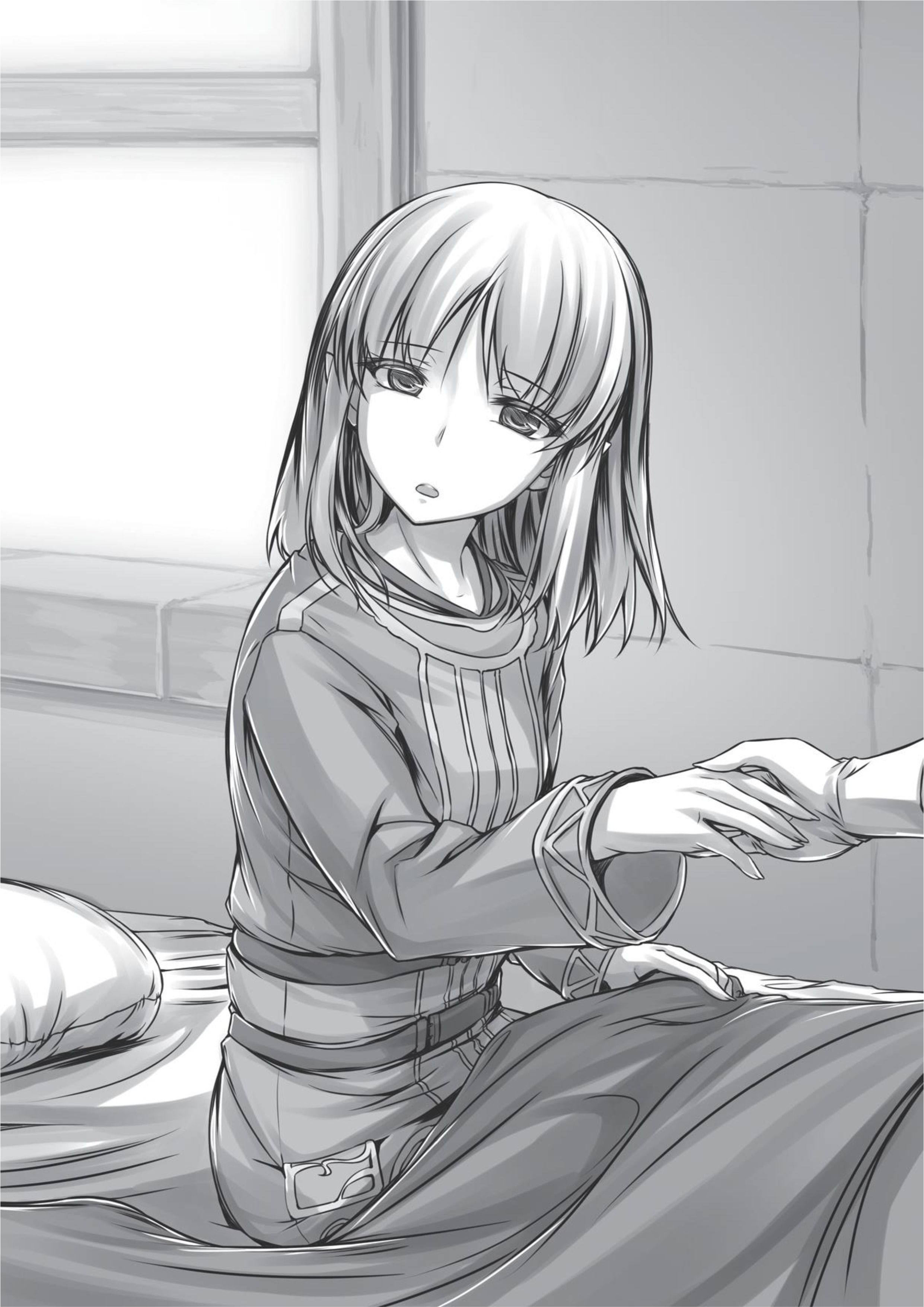 Leadale no Daichi nite V6 Illustration - Megumi Novel