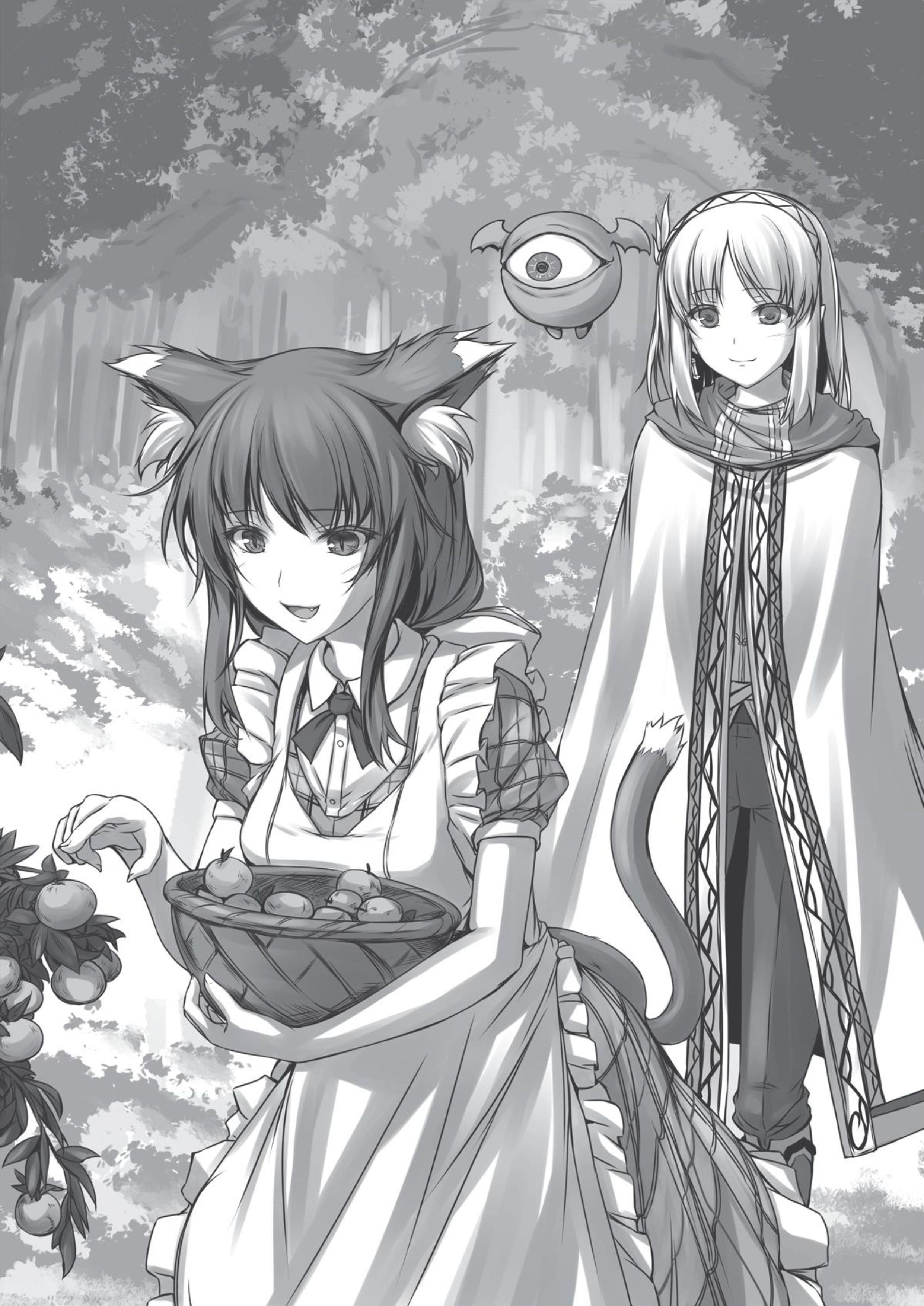 Leadale no Daichi nite V7 Illustration - Megumi Novel