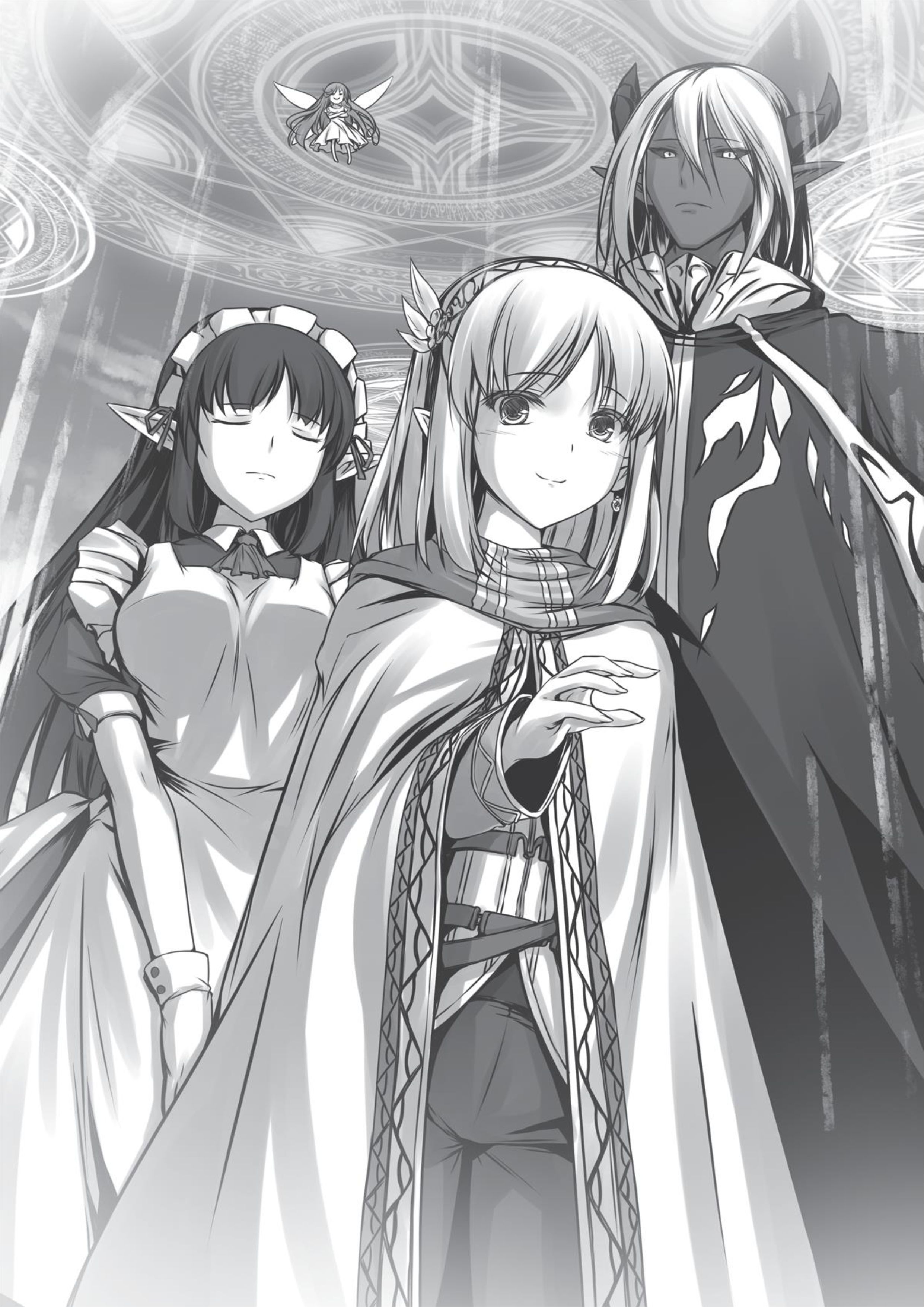 Leadale no Daichi nite V7 Illustration - Megumi Novel