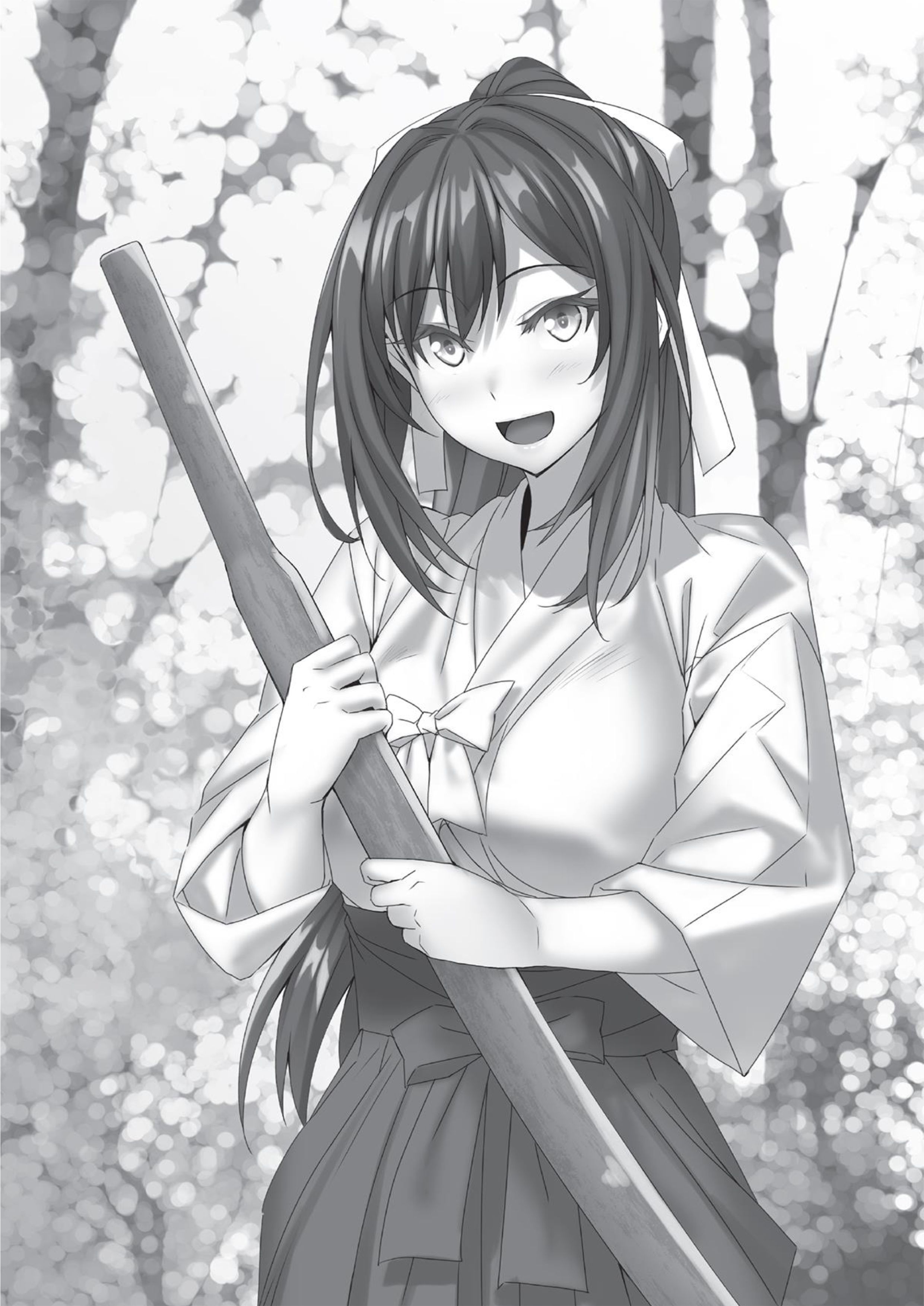 Magical Explorer V2 Illustration - Megumi Novel