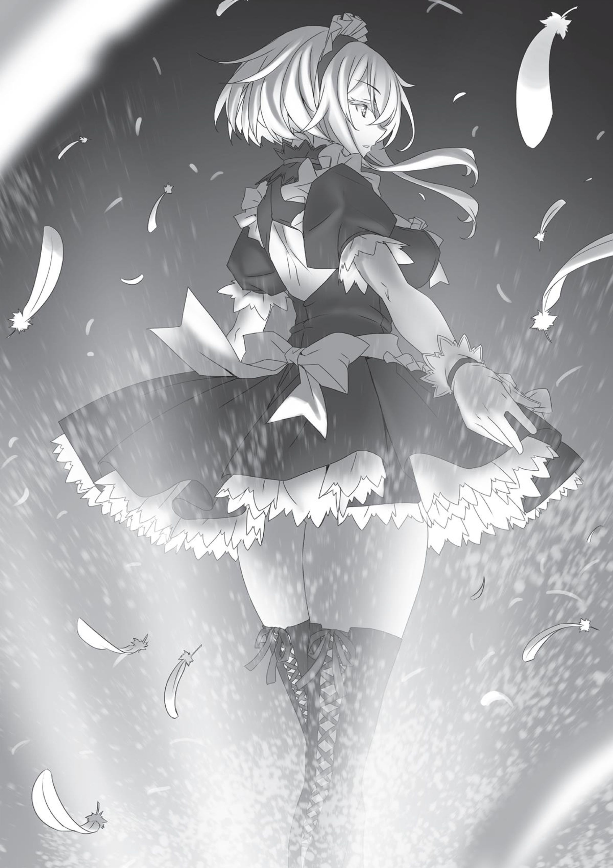 Magical Explorer V2 Illustration - Megumi Novel