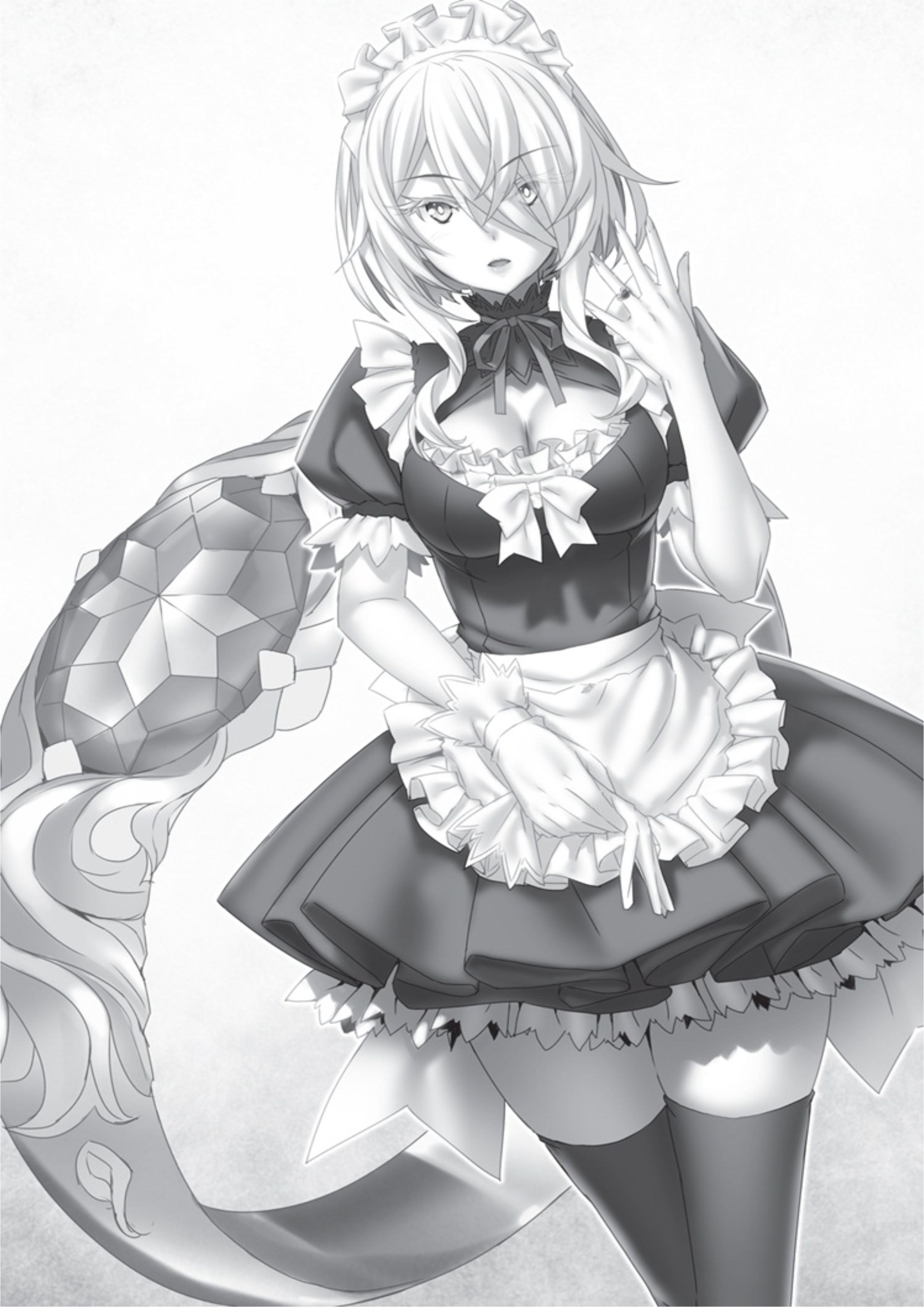 Magical Explorer V3 Illustration - Megumi Novel
