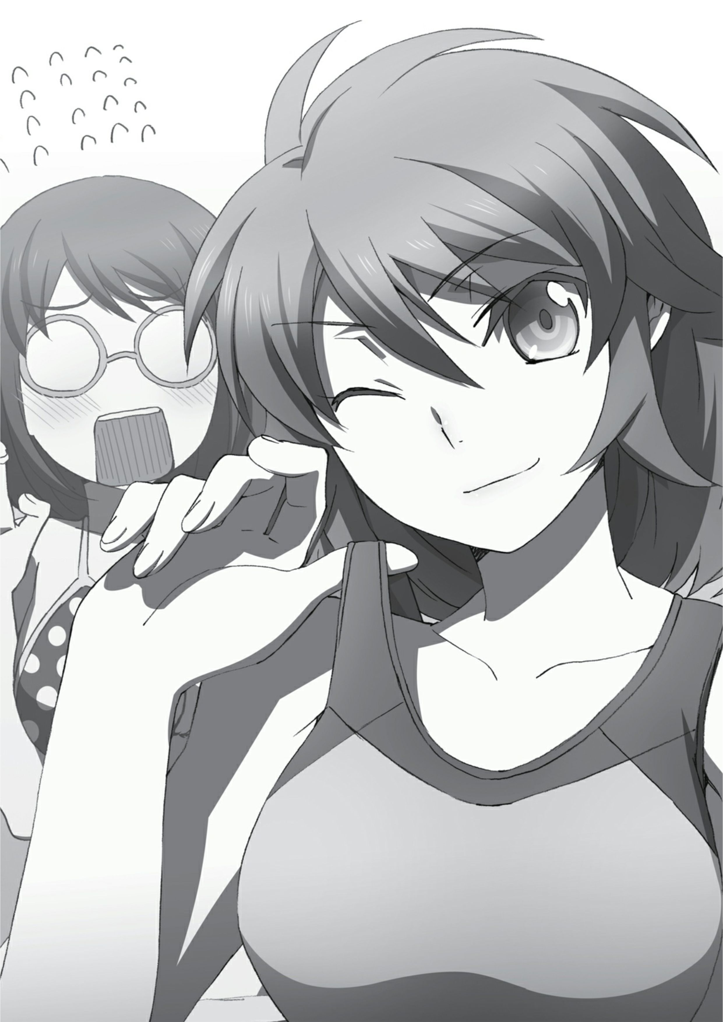 Mahouka Koukou No Rettousei V5 Illustration - Megumi Novel