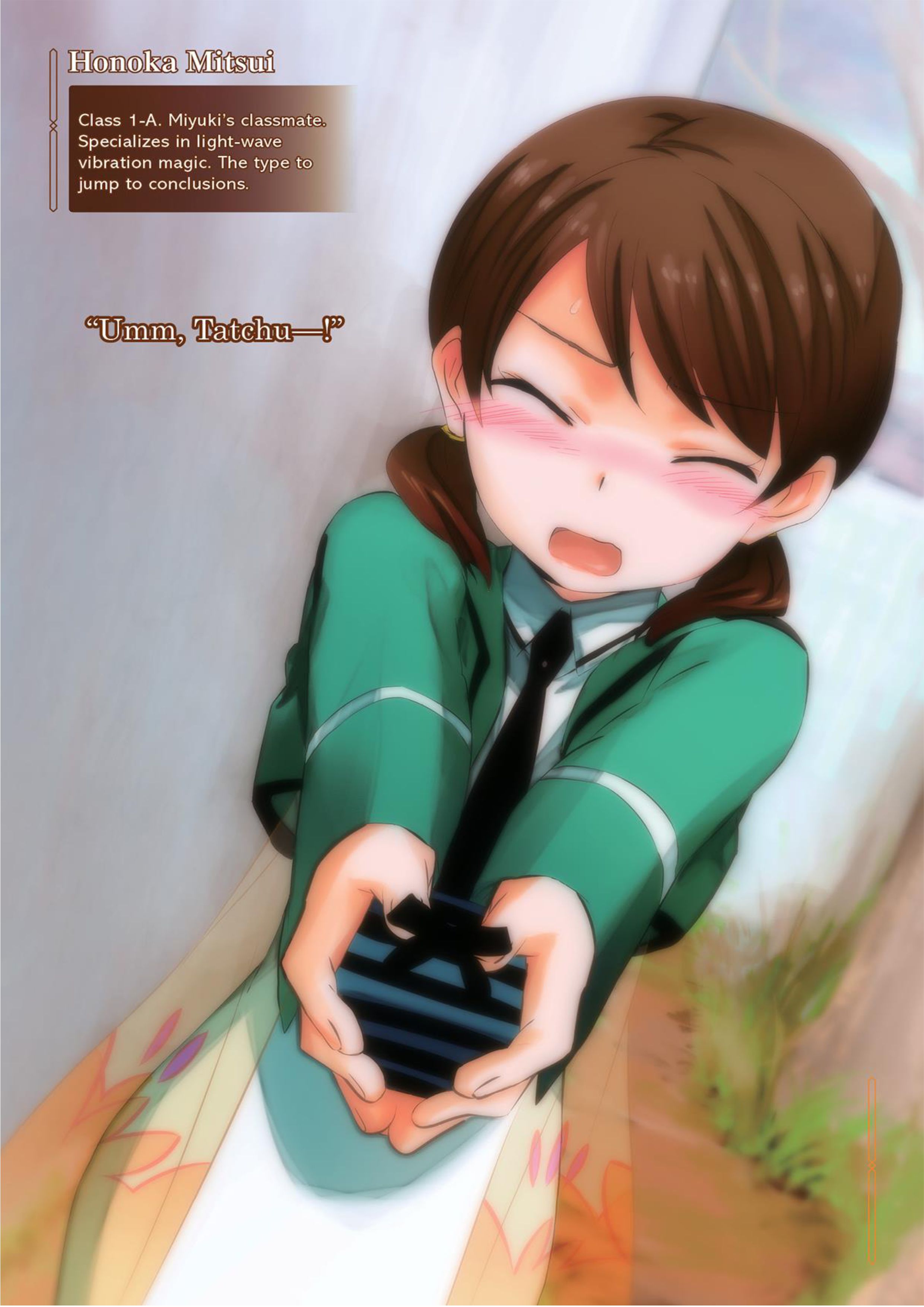 Mahouka Koukou No Rettousei V10 Illustration - Megumi Novel