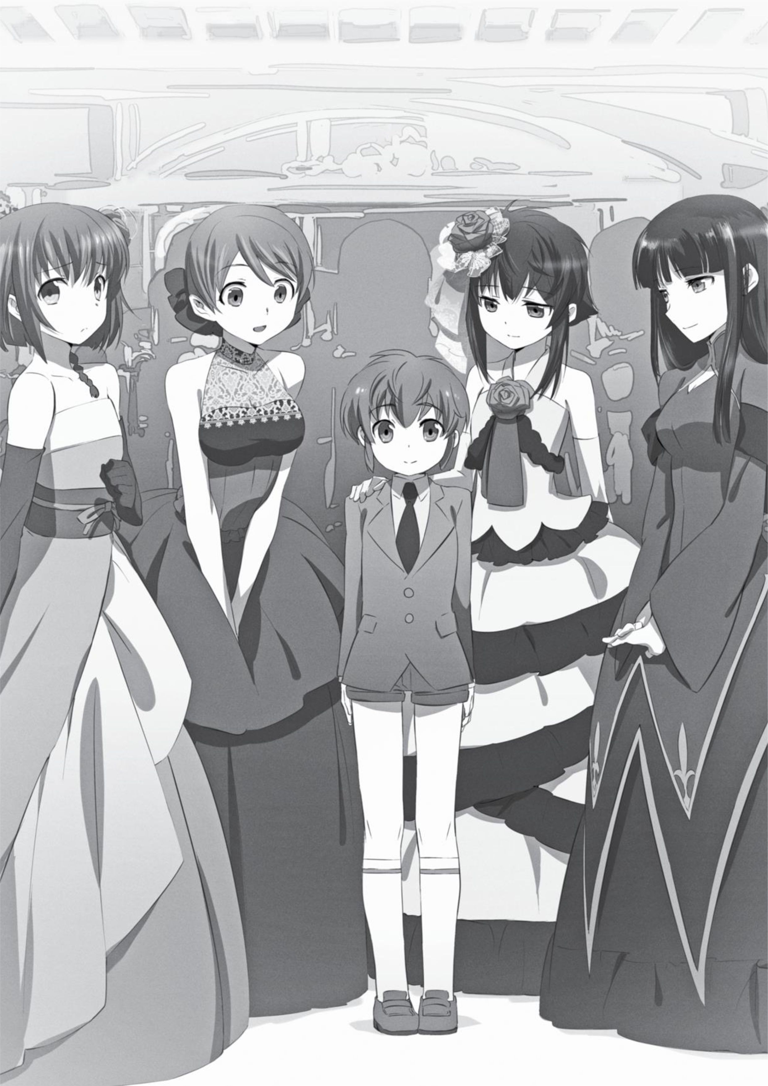 Mahouka Koukou No Rettousei V12 Illustration - Megumi Novel