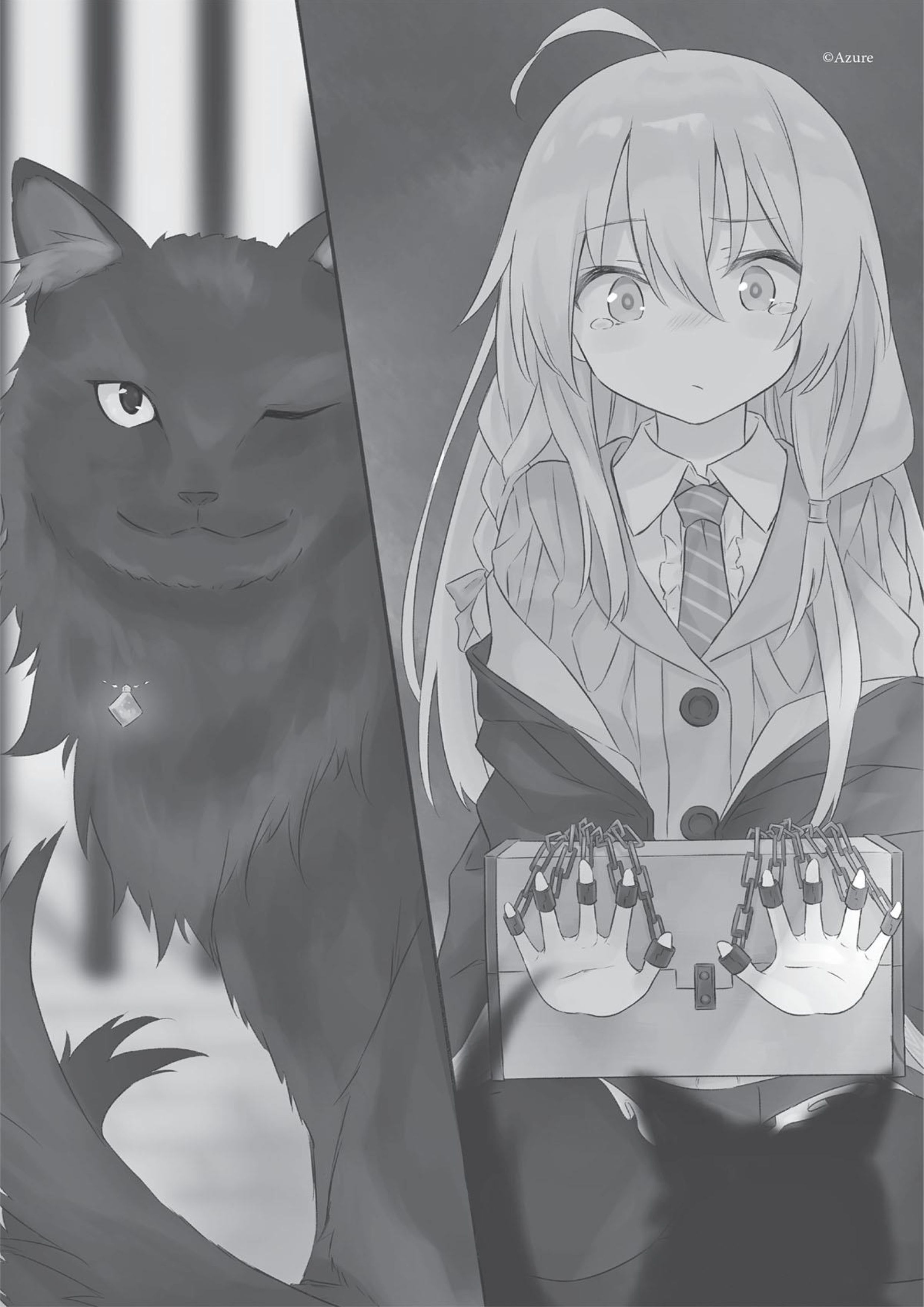 Majo no Tabitabi V2 Illustration - Megumi Novel
