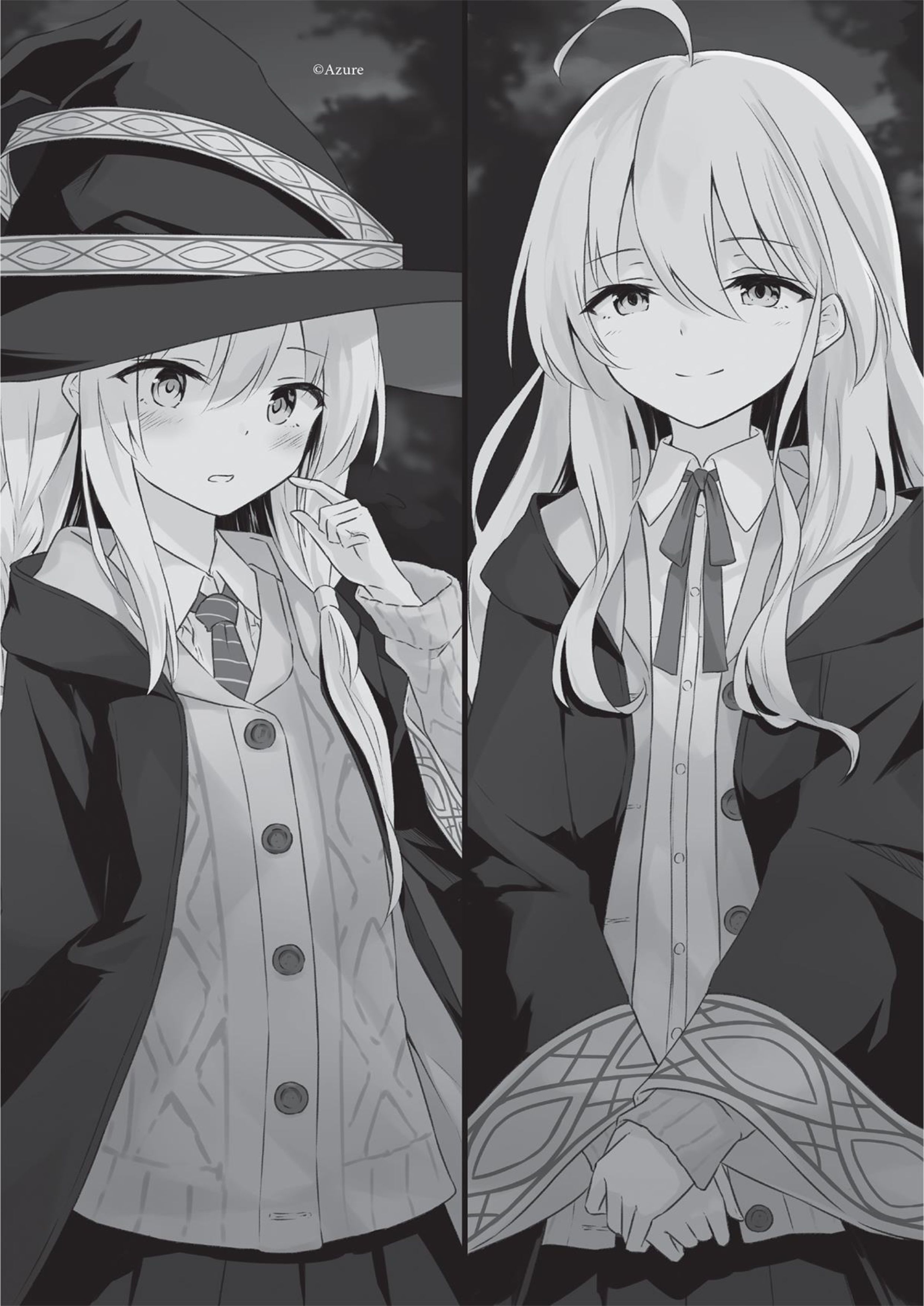 Majo no Tabitabi V3 Illustration - Megumi Novel