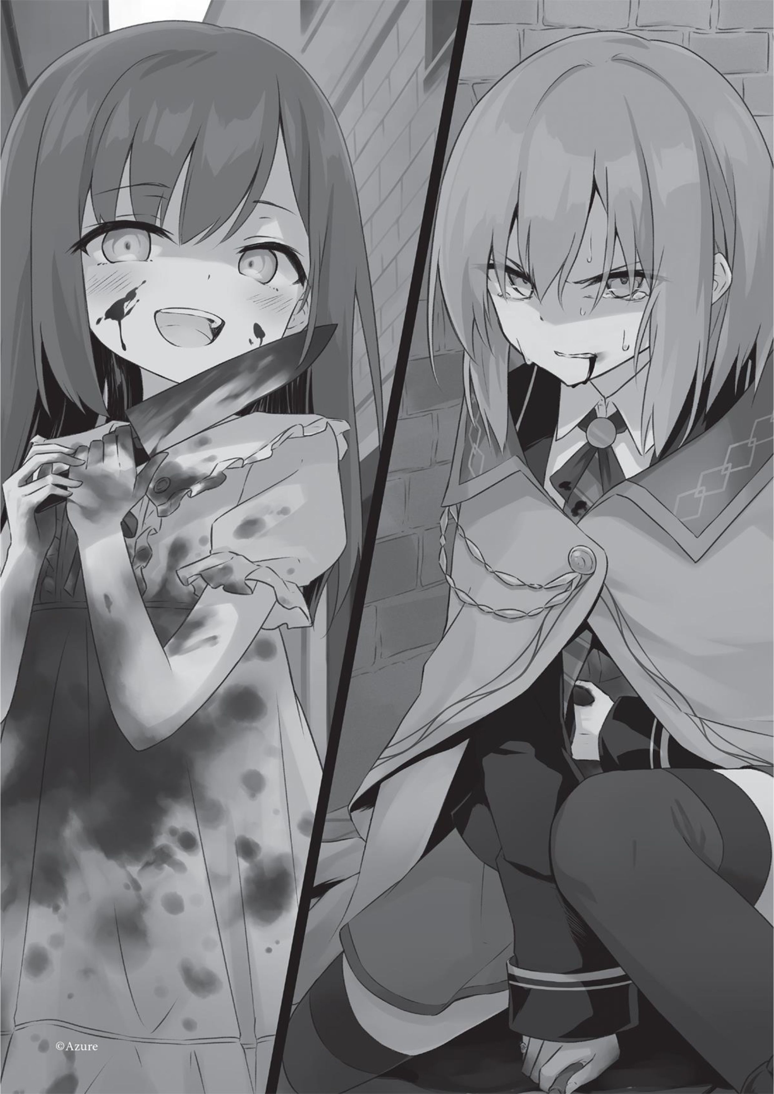 Majo no Tabitabi V3 Illustration - Megumi Novel