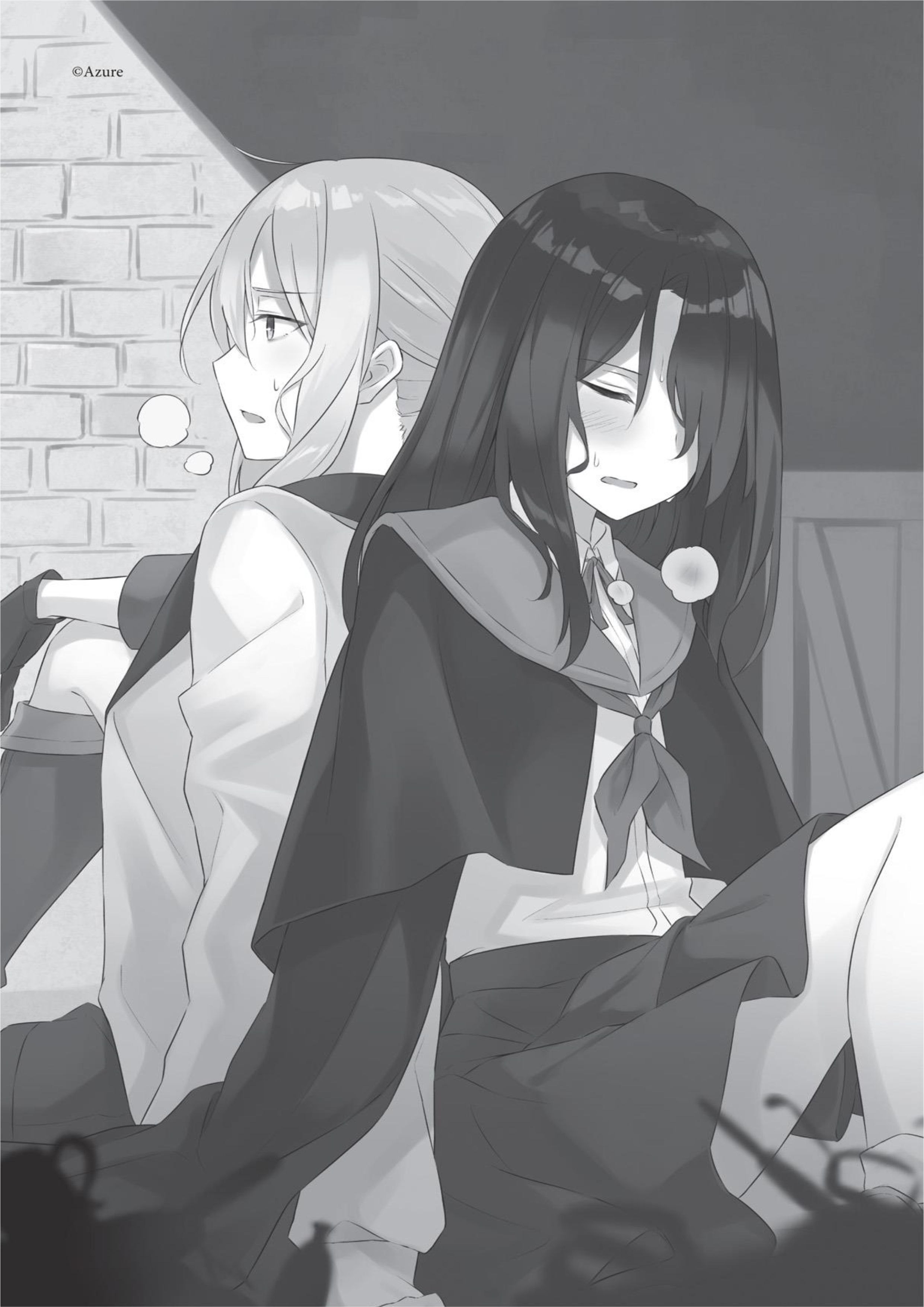 Majo no Tabitabi V5 Illustration - Megumi Novel