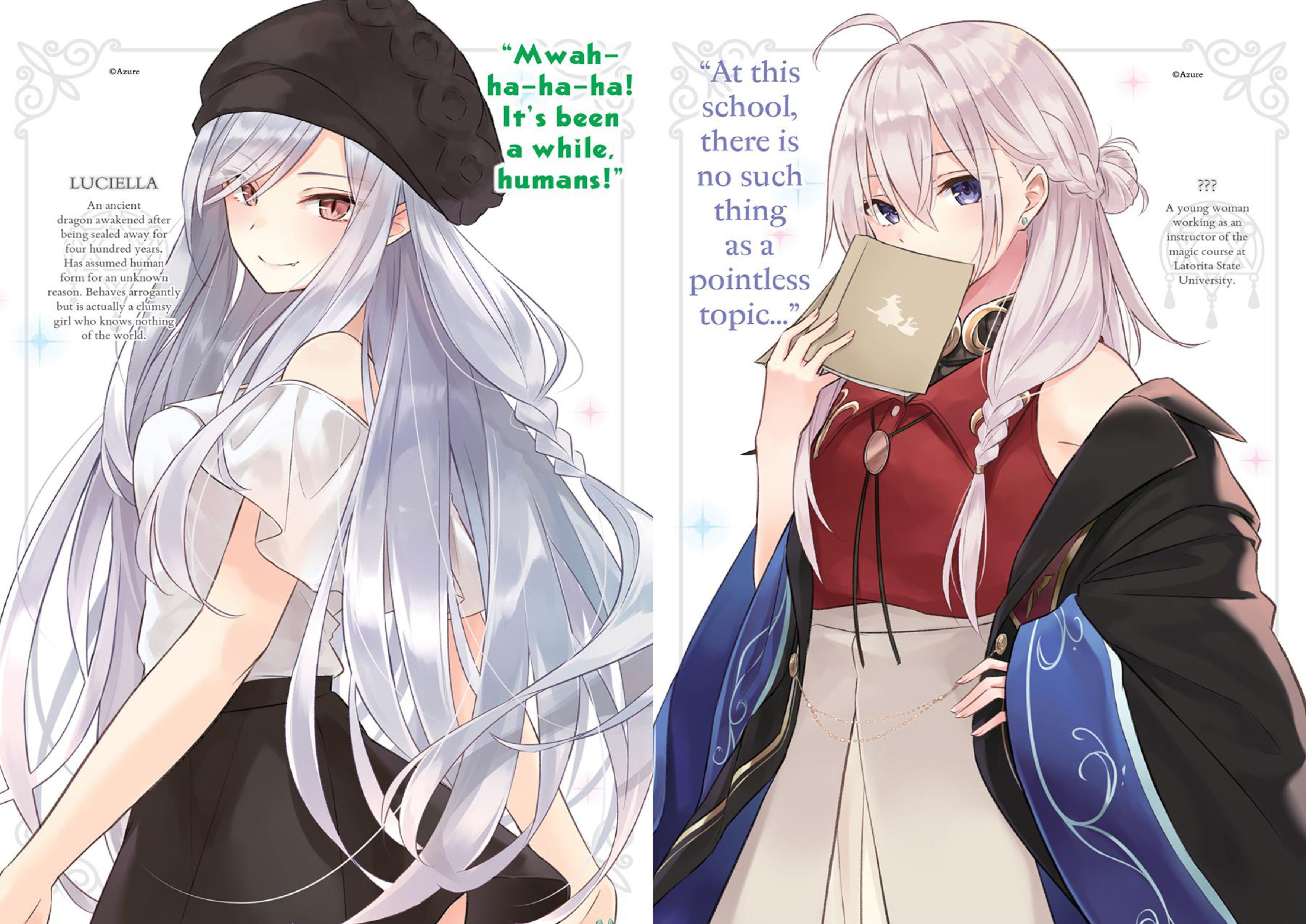 Majo no Tabitabi V7 Illustration - Megumi Novel