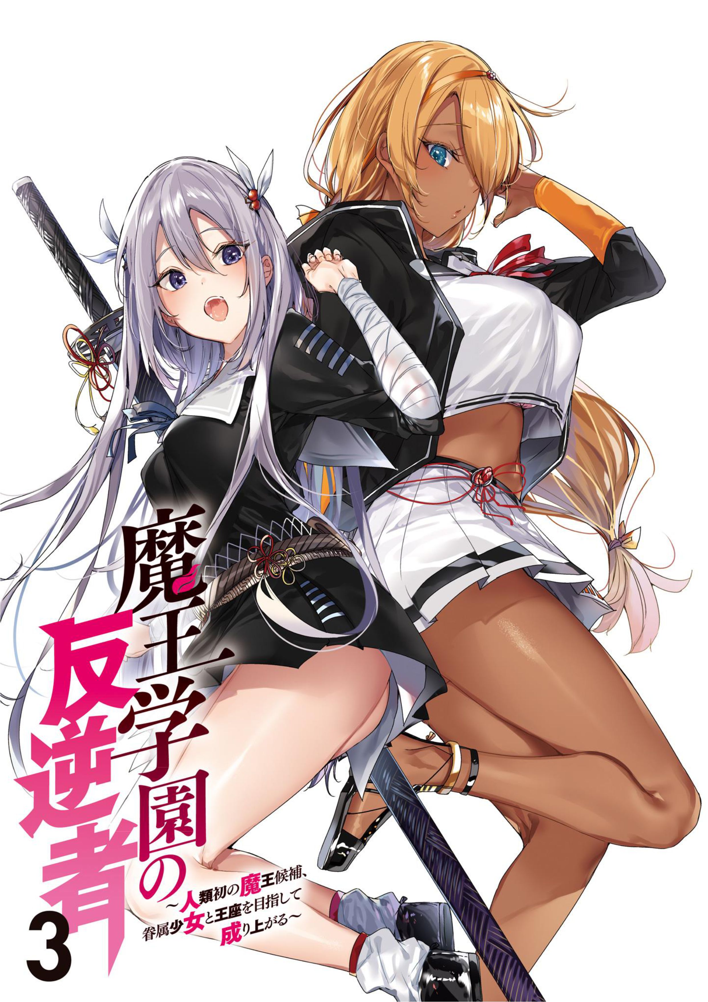 Maou Gakuen no Hangyakusha V3 Illustration - Megumi Novel