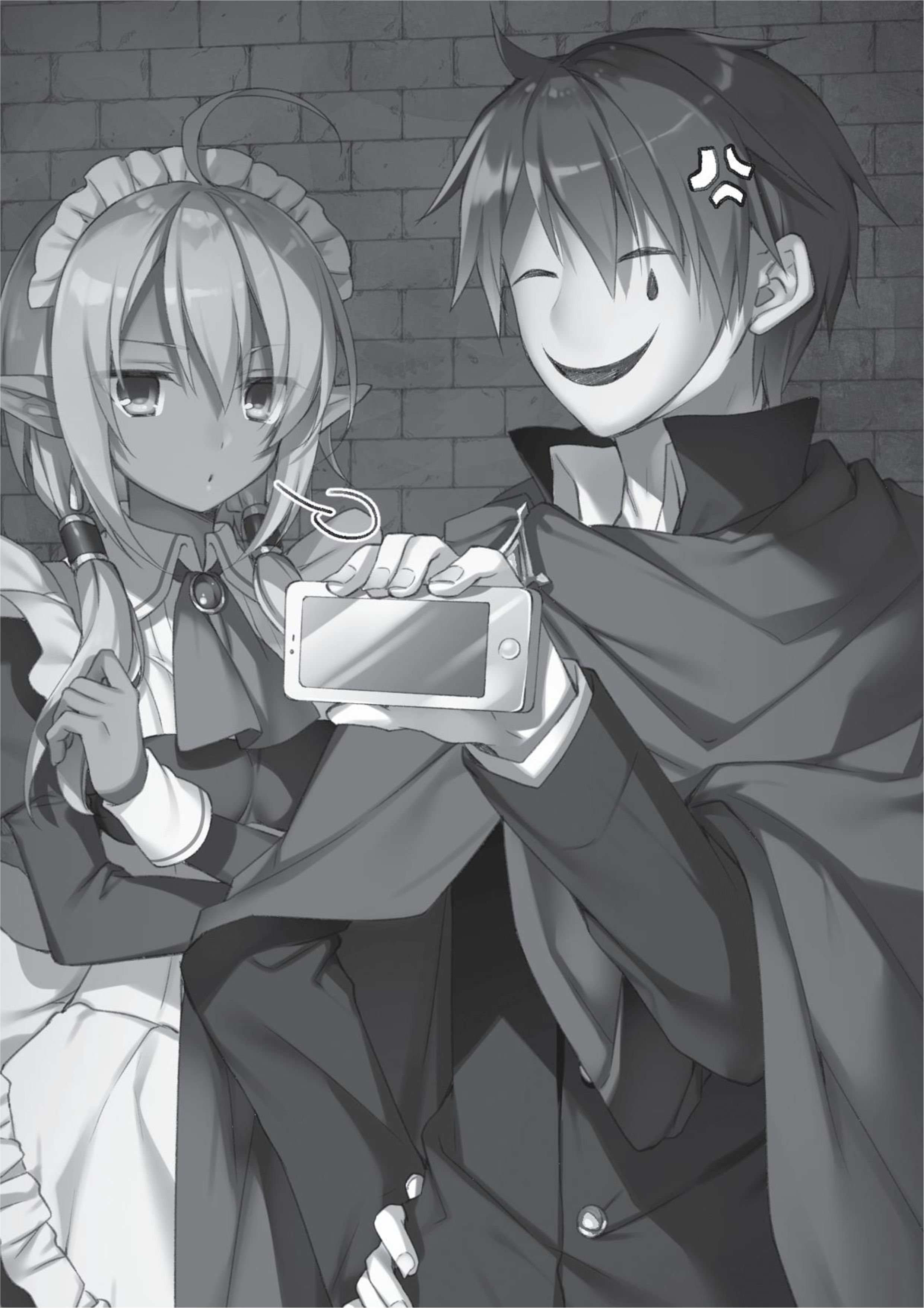 Megami no Yuusha wo Taosu Gesu na Houhou V1 Illustration - Megumi Novel