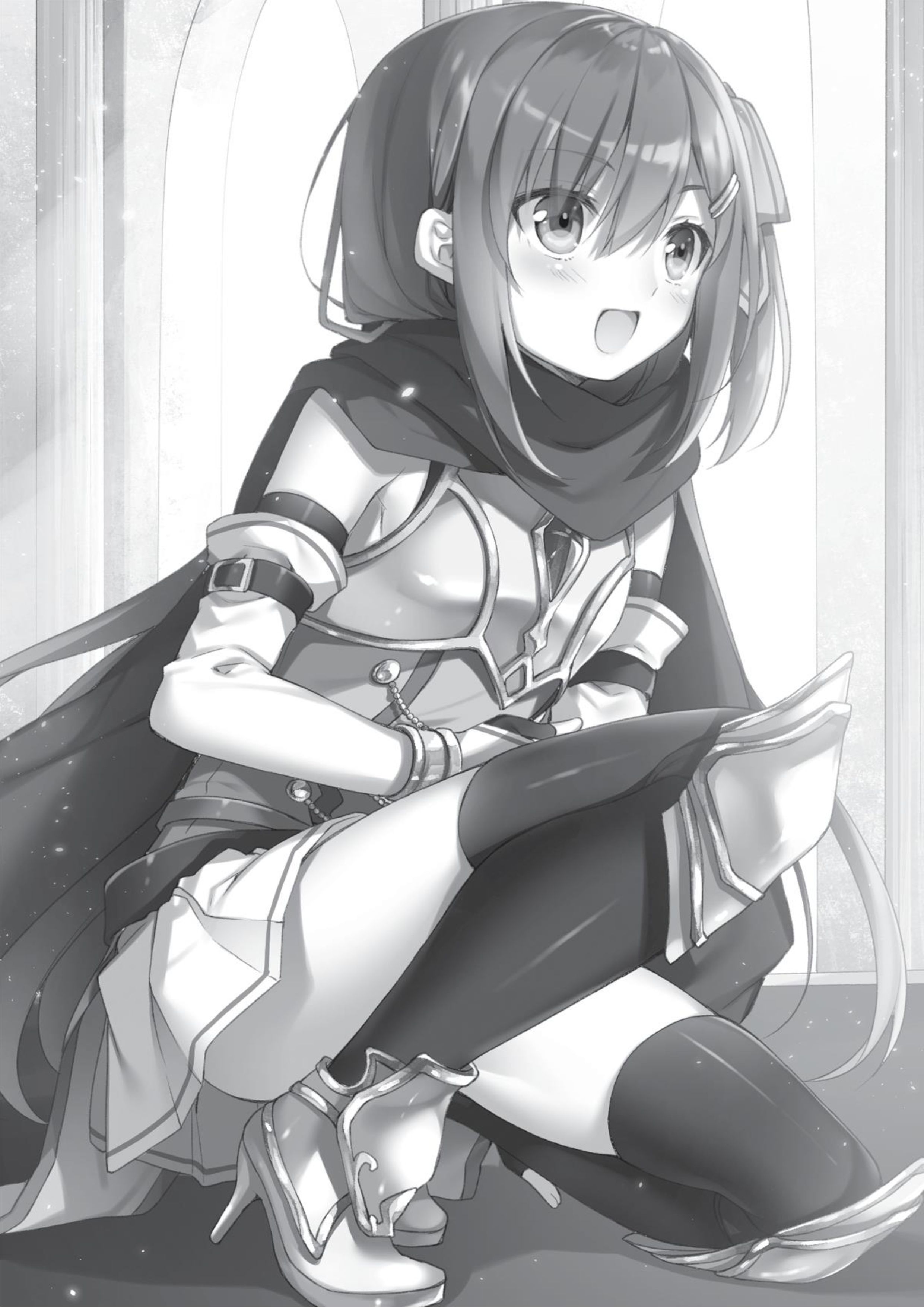 Megami no Yuusha wo Taosu Gesu na Houhou V1 Illustration - Megumi Novel