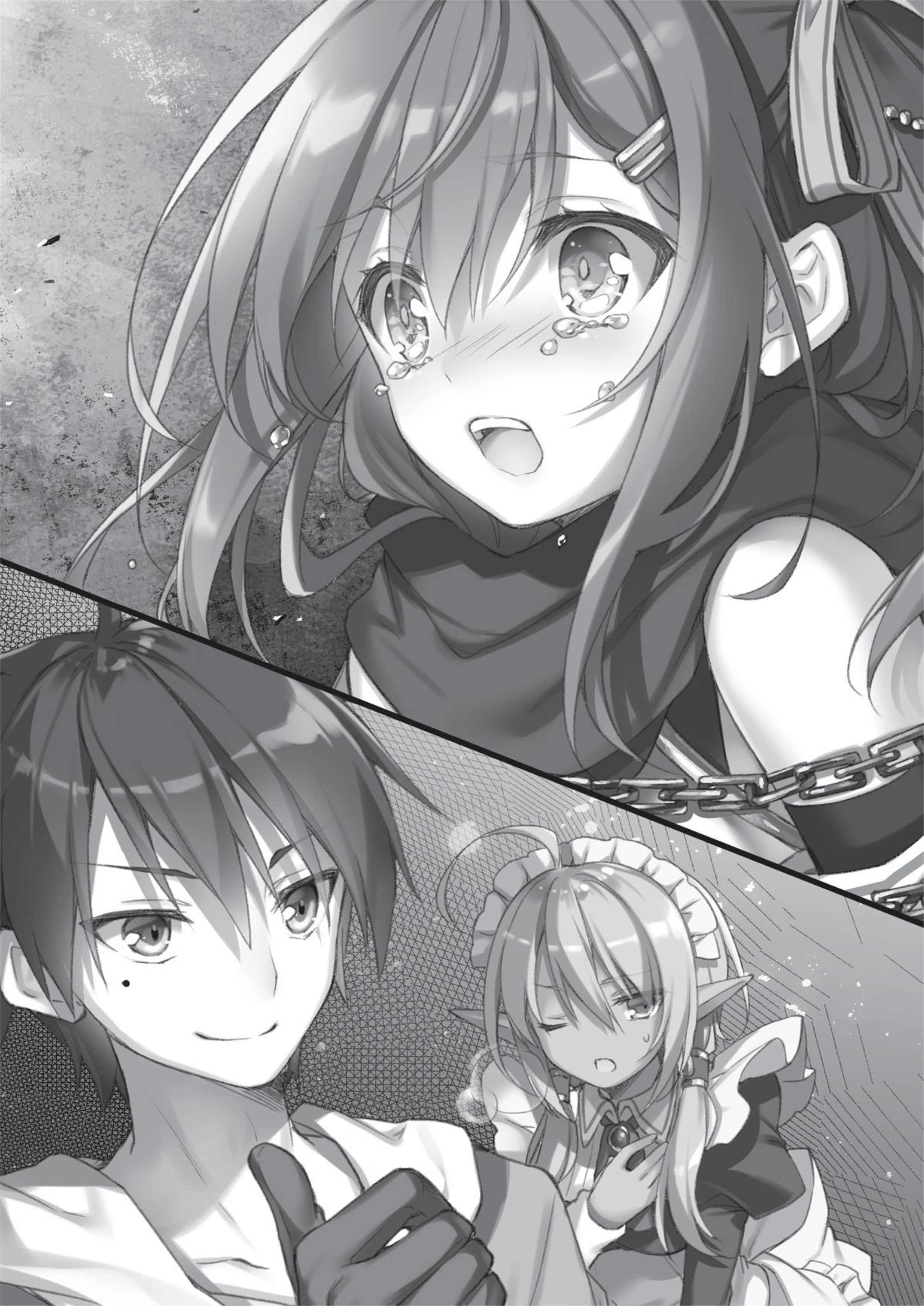 Megami no Yuusha wo Taosu Gesu na Houhou V1 Illustration - Megumi Novel