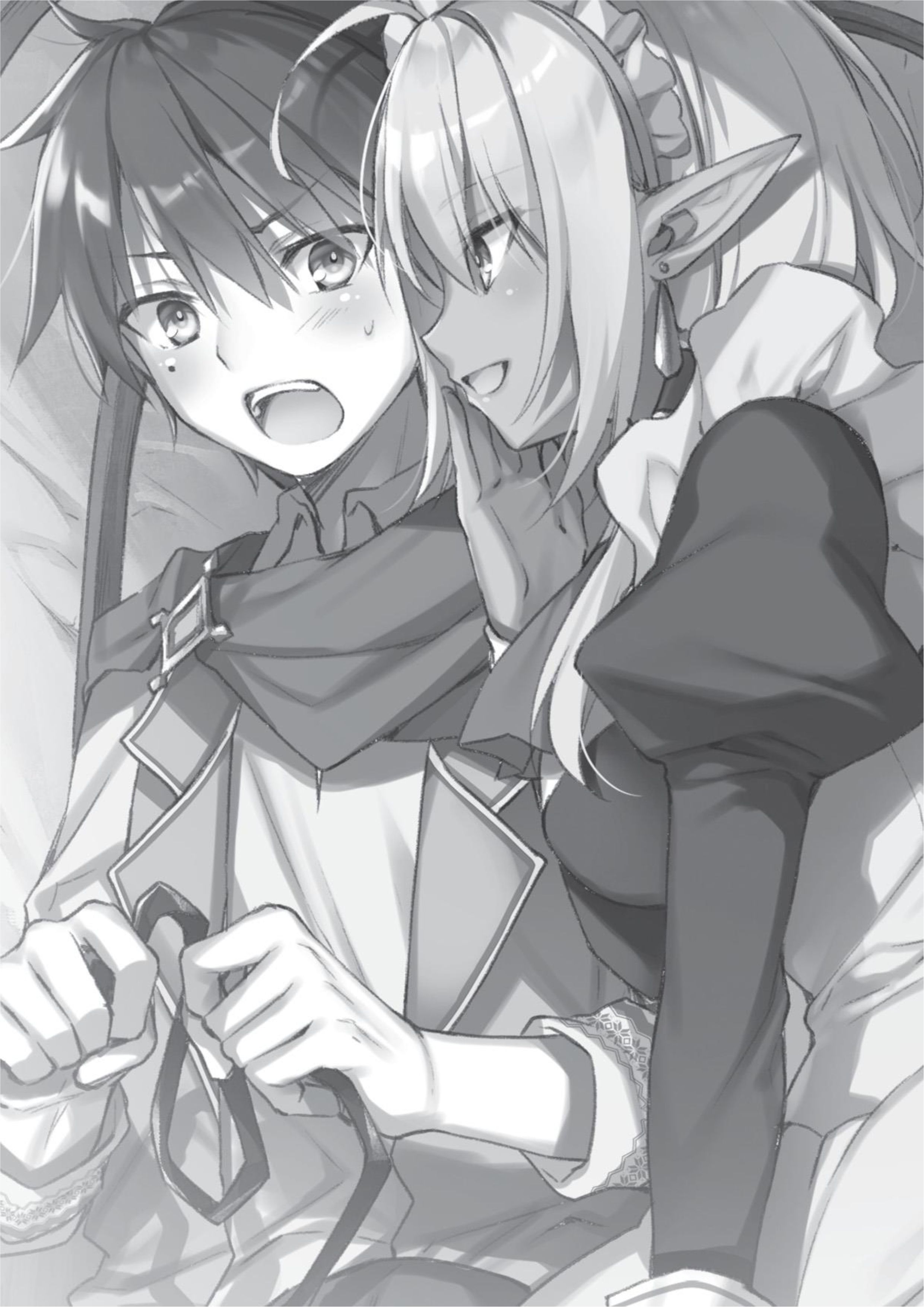 Megami no Yuusha wo Taosu Gesu na Houhou V2 Illustration - Megumi Novel