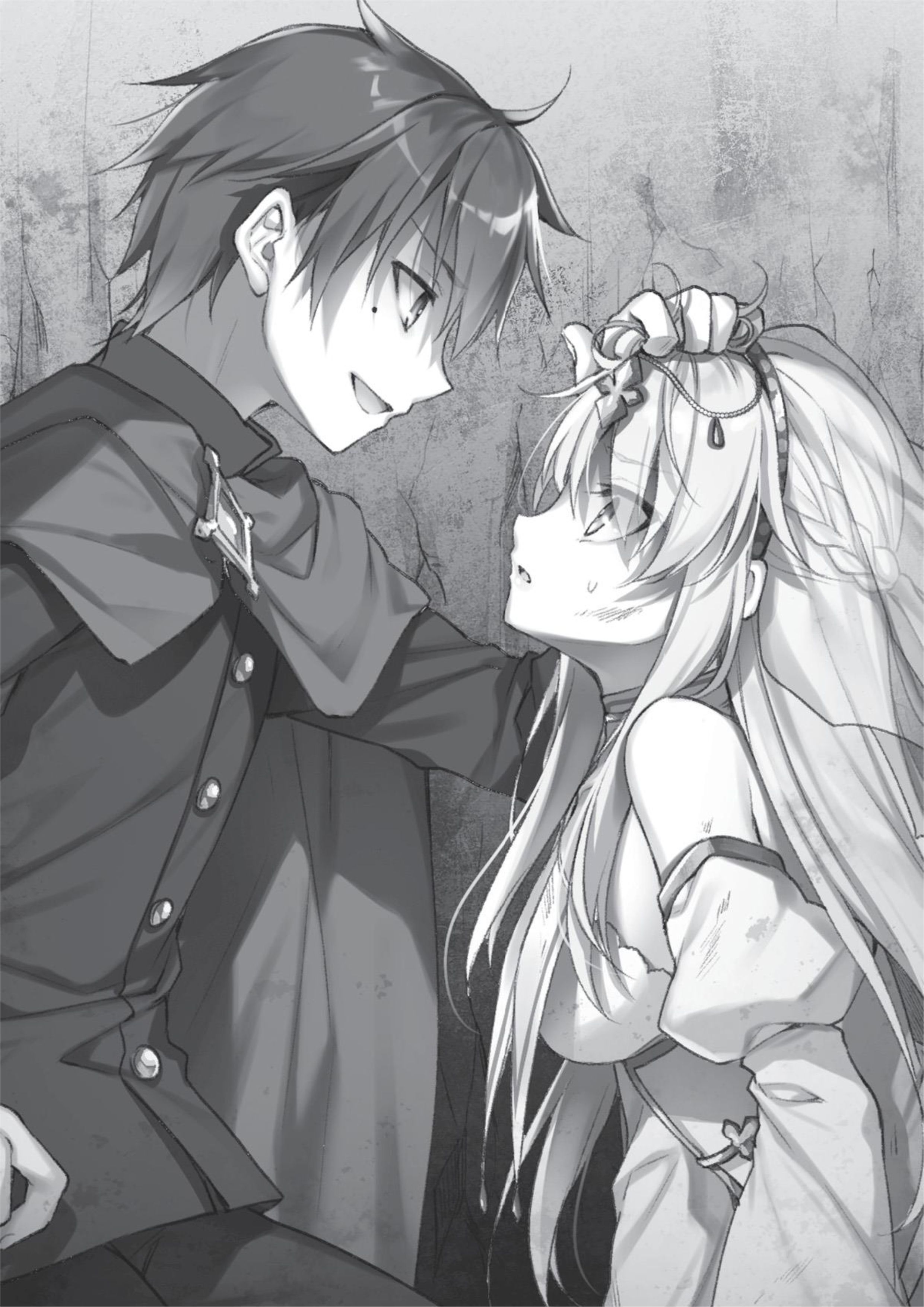 Megami no Yuusha wo Taosu Gesu na Houhou V2 Illustration - Megumi Novel