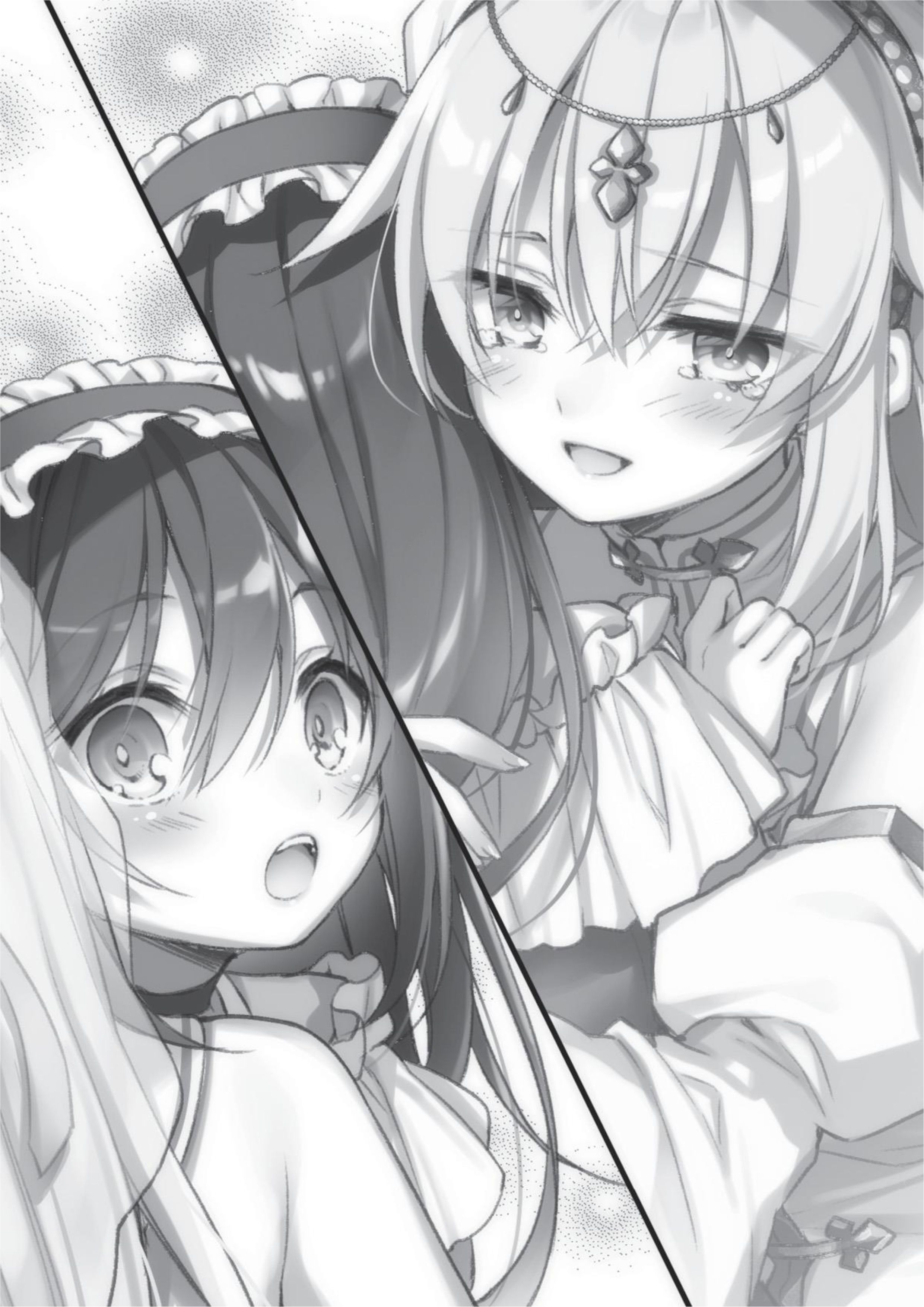 Megami no Yuusha wo Taosu Gesu na Houhou V2 Illustration - Megumi Novel