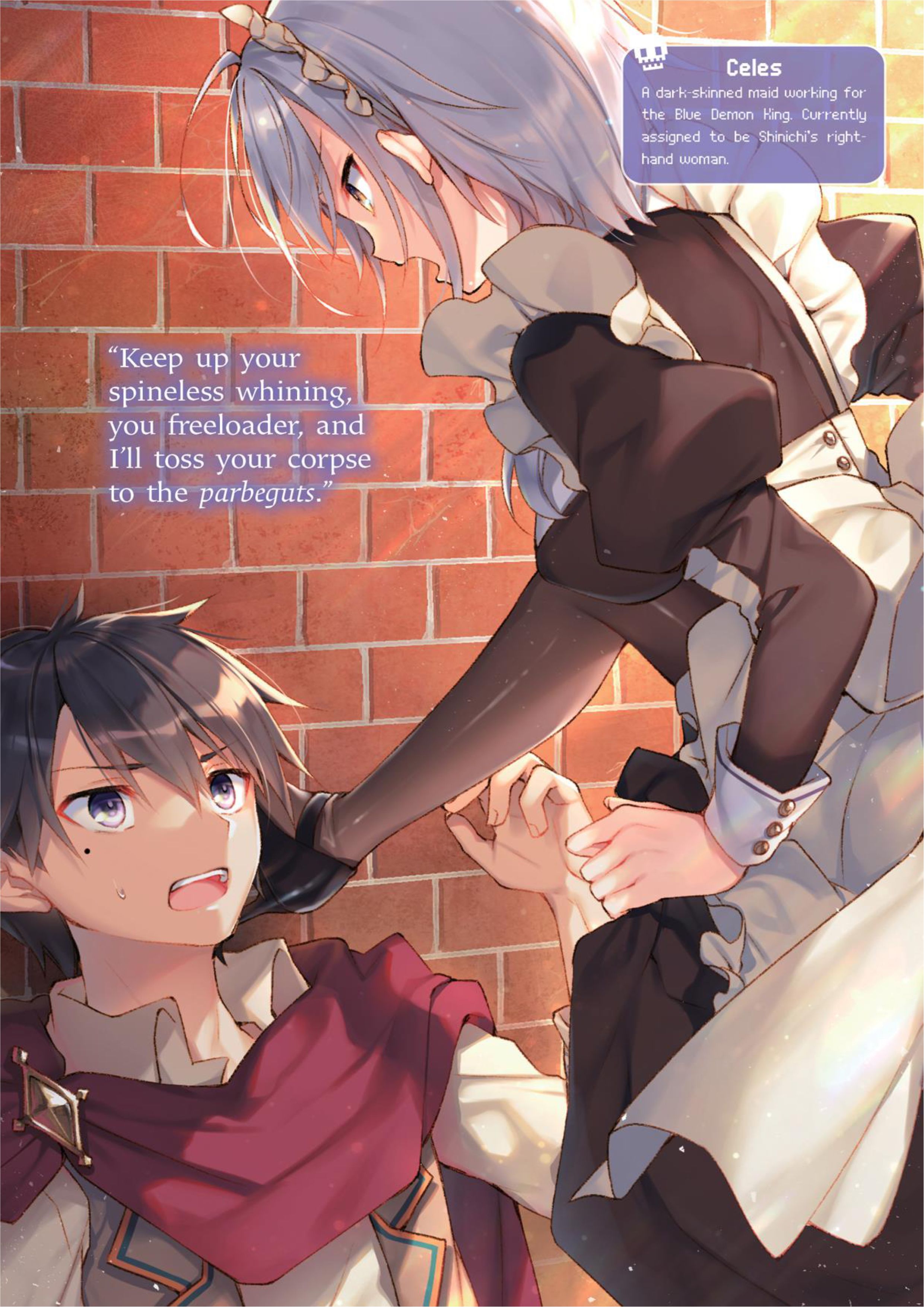 Megami no Yuusha wo Taosu Gesu na Houhou V3 Illustration - Megumi Novel