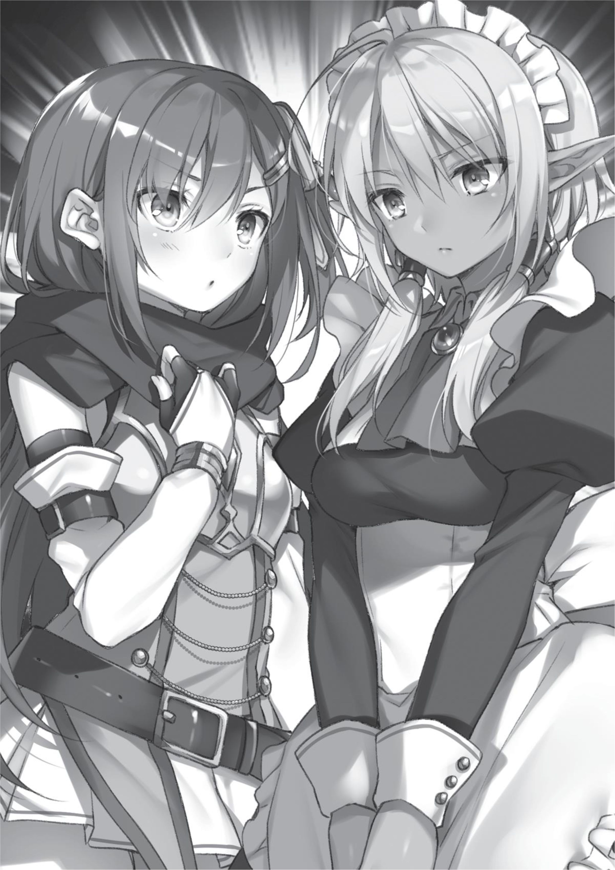 Megami no Yuusha wo Taosu Gesu na Houhou V3 Illustration - Megumi Novel