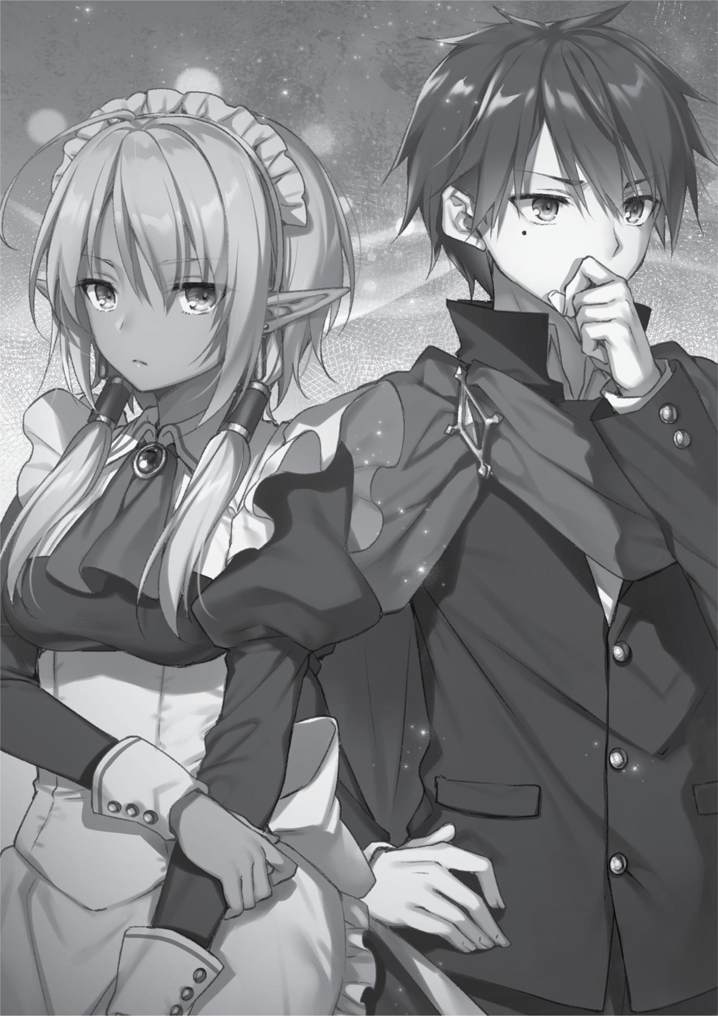 Megami no Yuusha wo Taosu Gesu na Houhou V4 Illustration - Megumi Novel