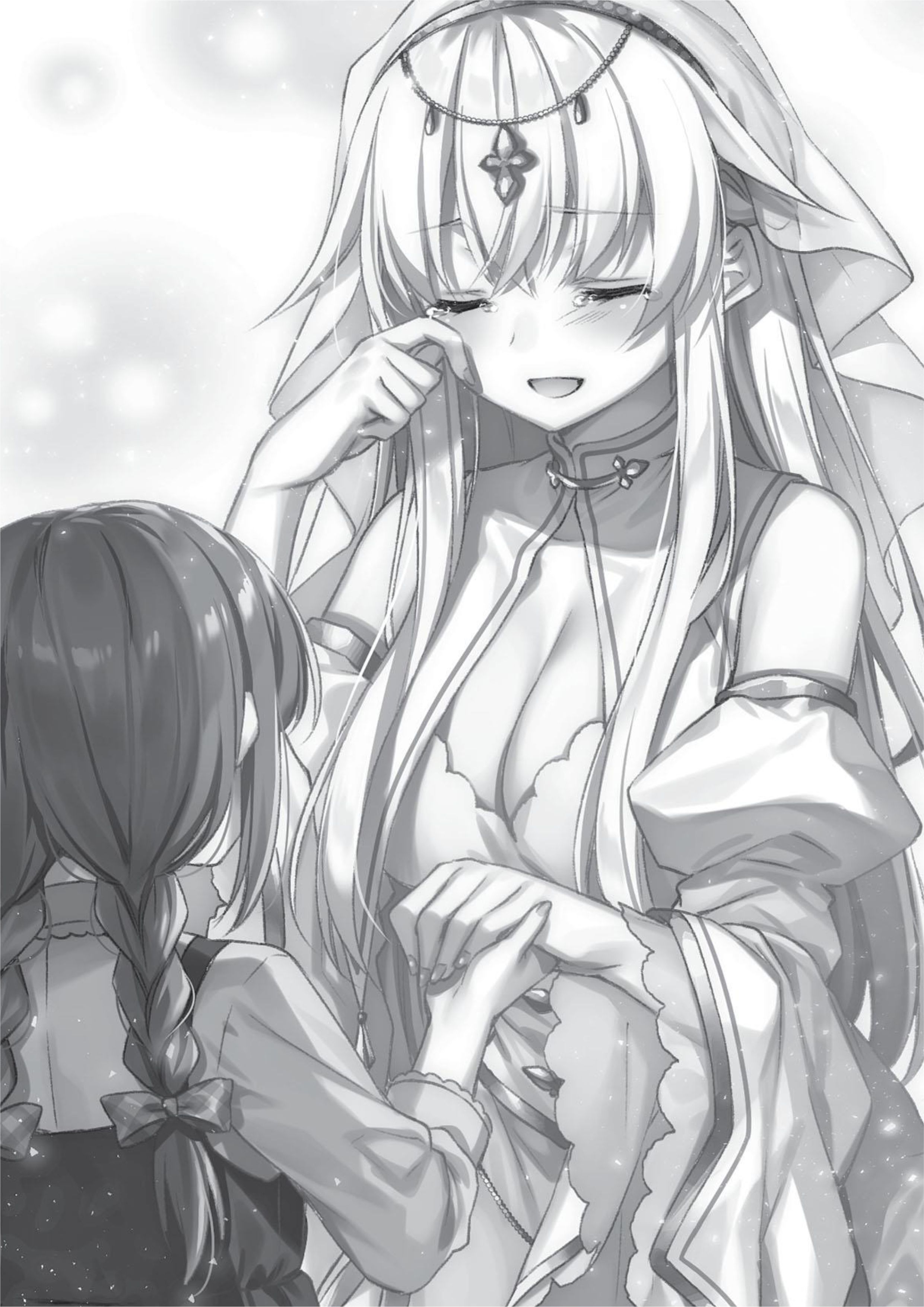 Megami no Yuusha wo Taosu Gesu na Houhou V5 Illustration - Megumi Novel