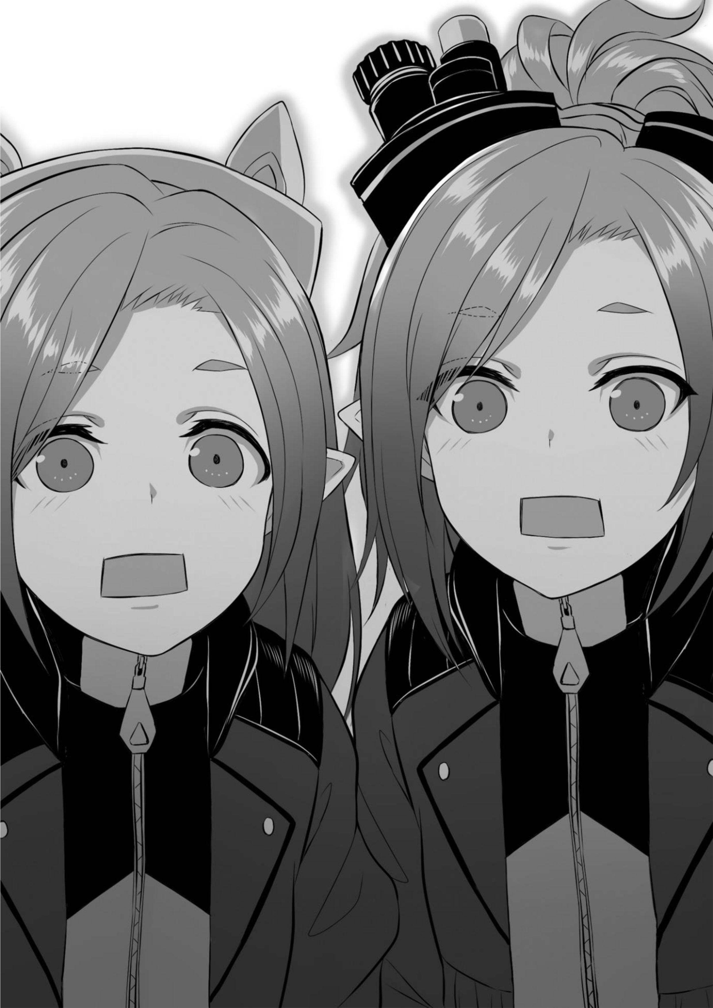 Mezametara Saikyou Soubi to Uchuusen Mochidattanode V5 Illustration - Megumi Novel