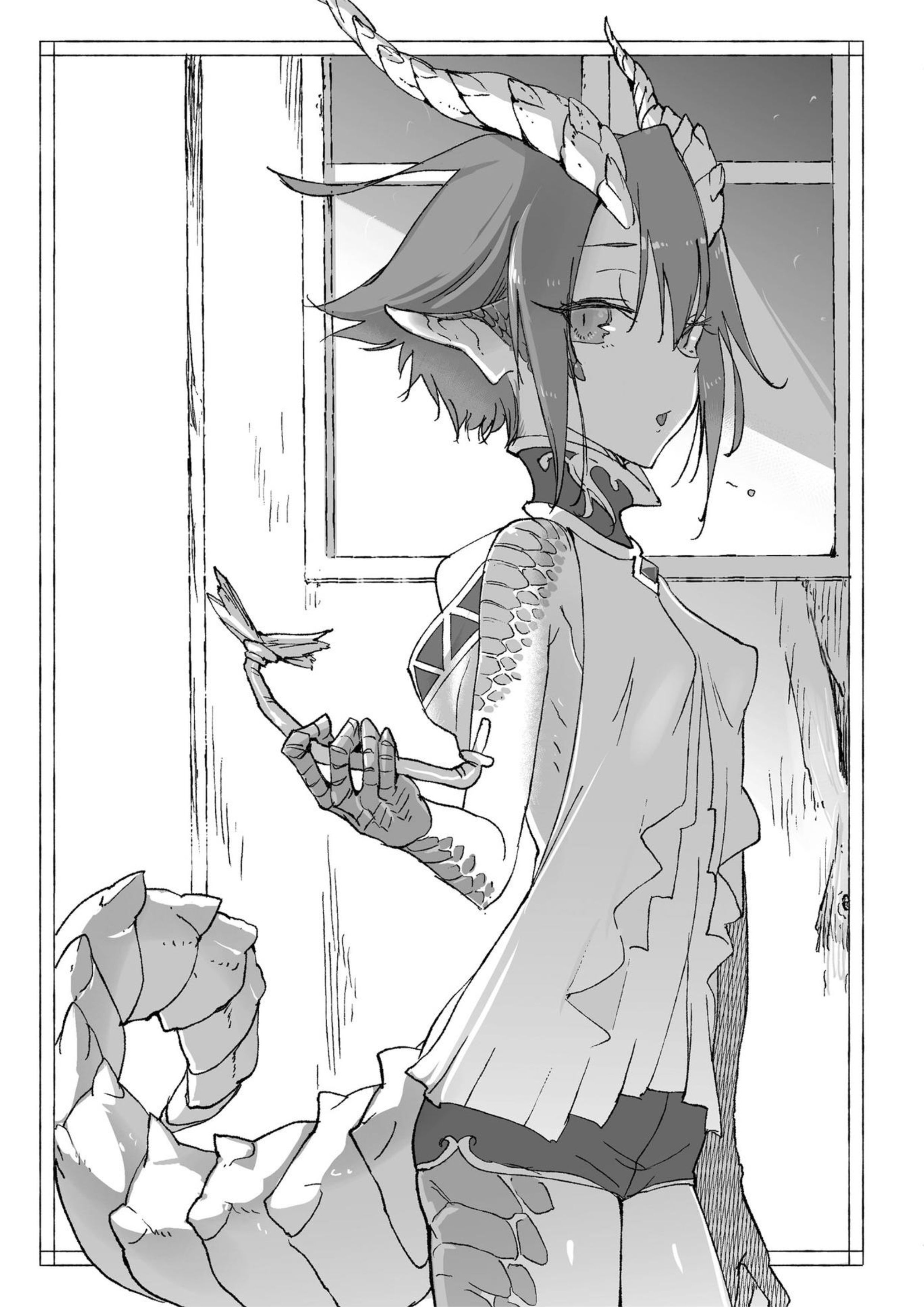 Monster Musume no Oisha-san V6 Illustration - Megumi Novel