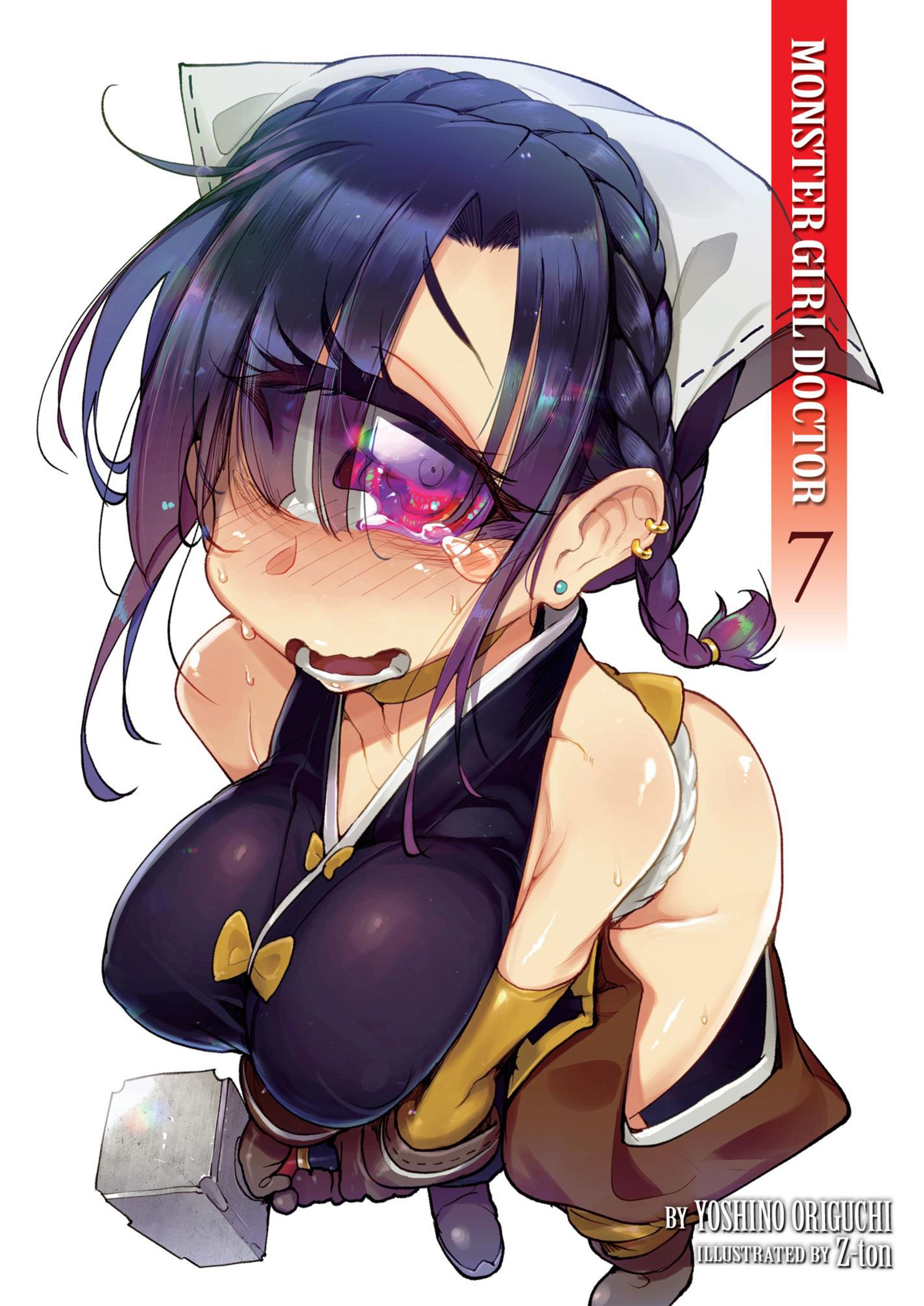 Monster Musume no Oisha-san V7 Illustration - Megumi Novel