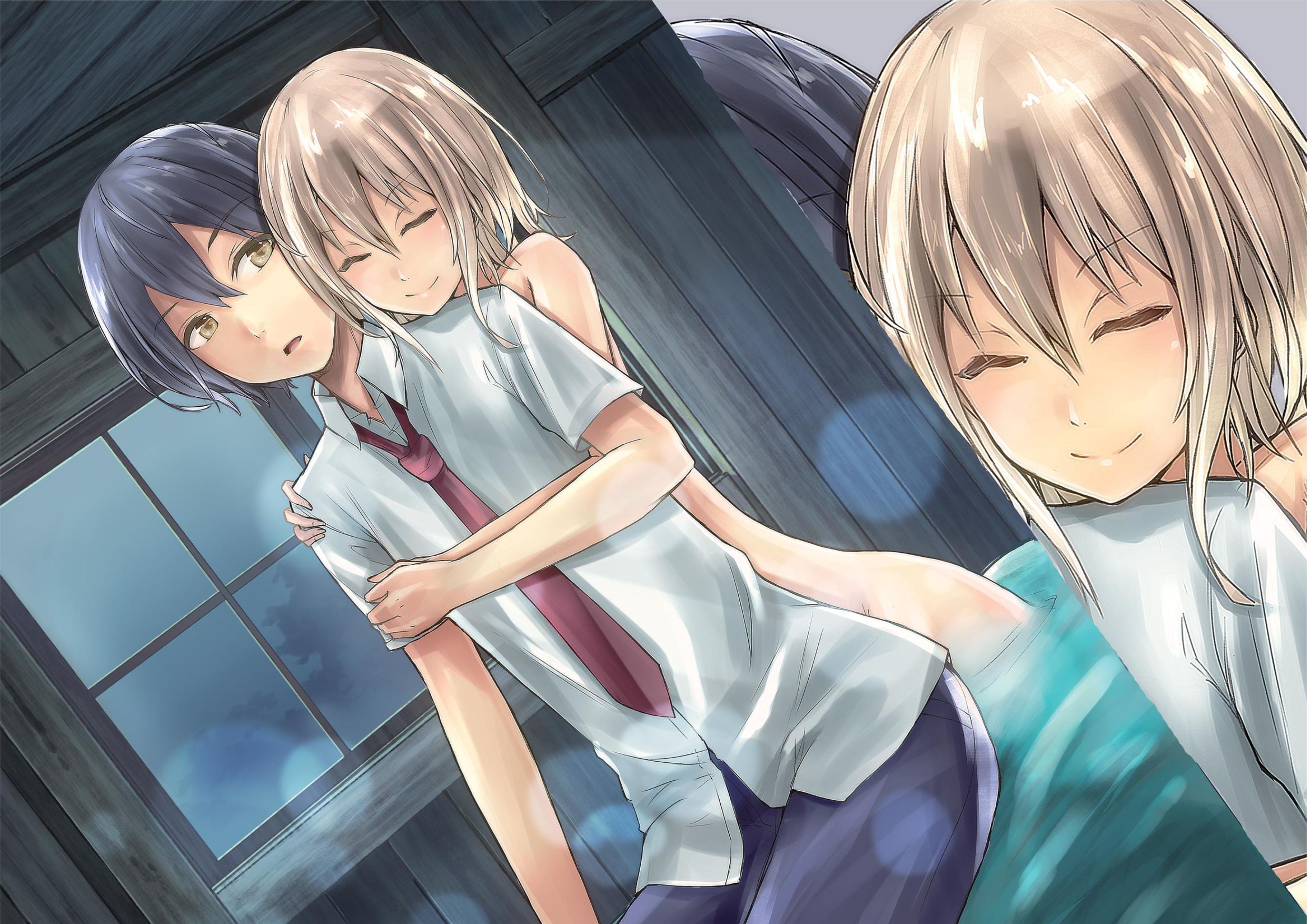 Monster no Goshujin-sama V1 Illustration - Megumi Novel