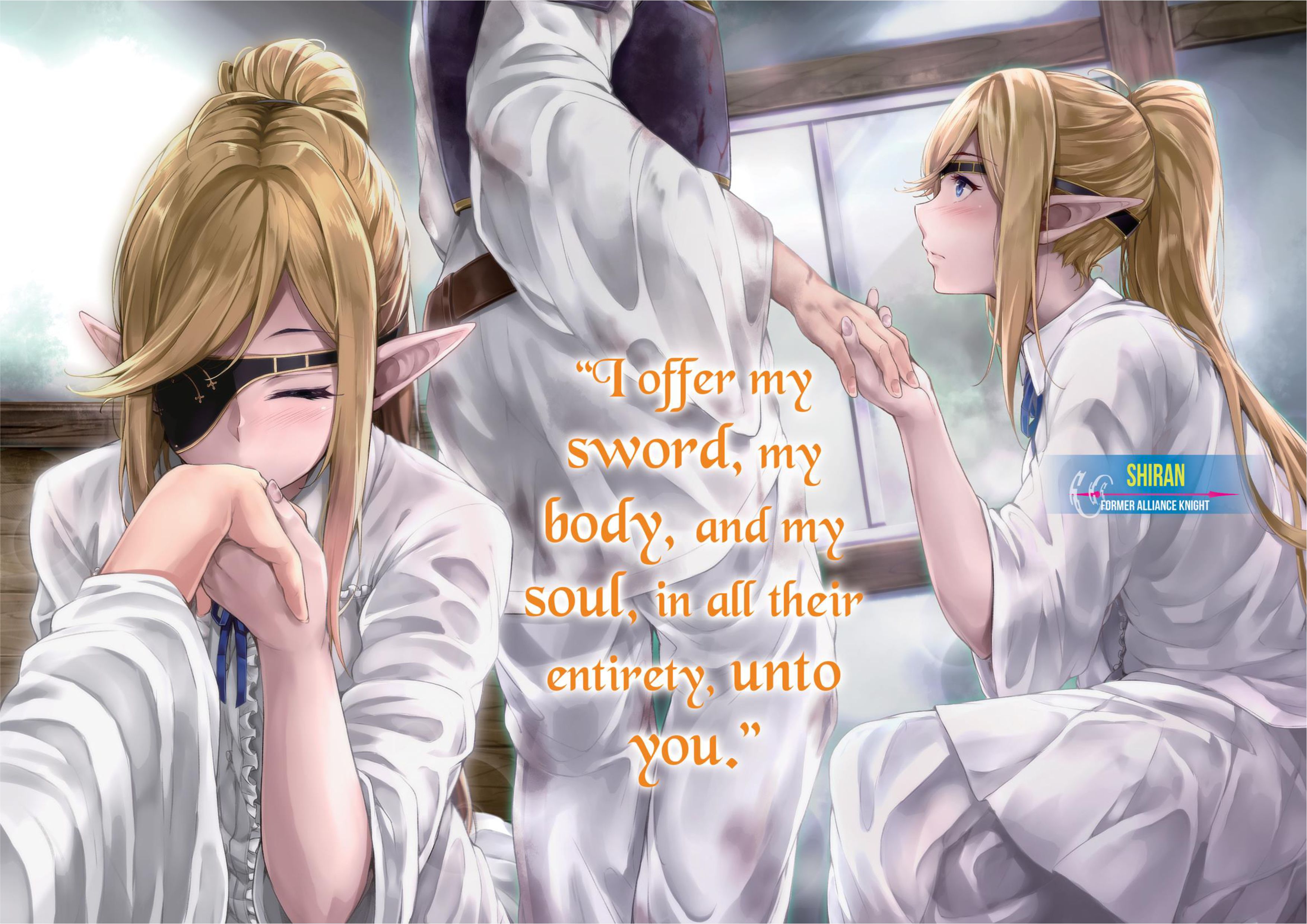 Monster no Goshujin-sama V10 Illustration - Megumi Novel