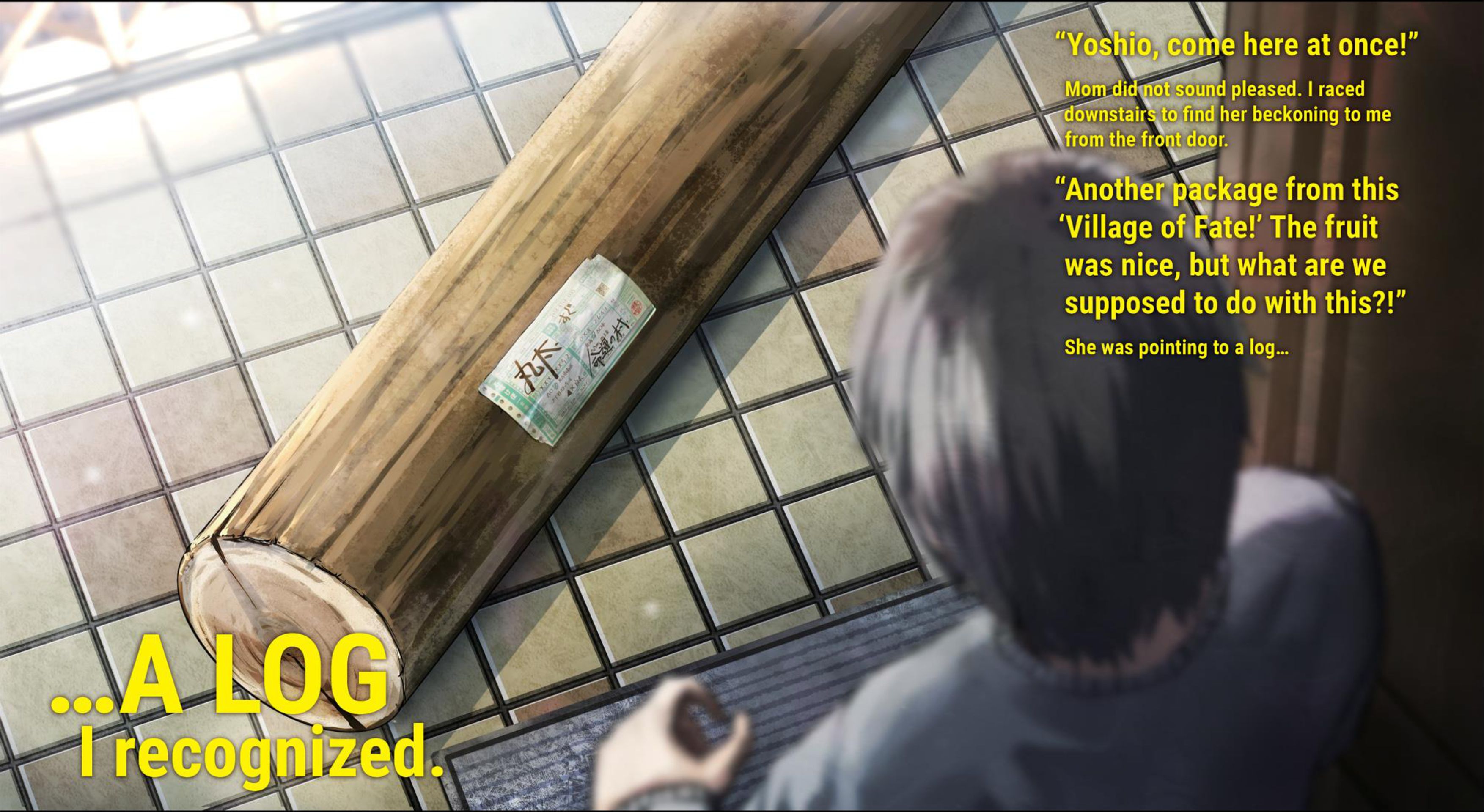 Murazukuri Game no NPC ga Namami no Ningen toshika Omoenai V1 Illustration - Megumi Novel