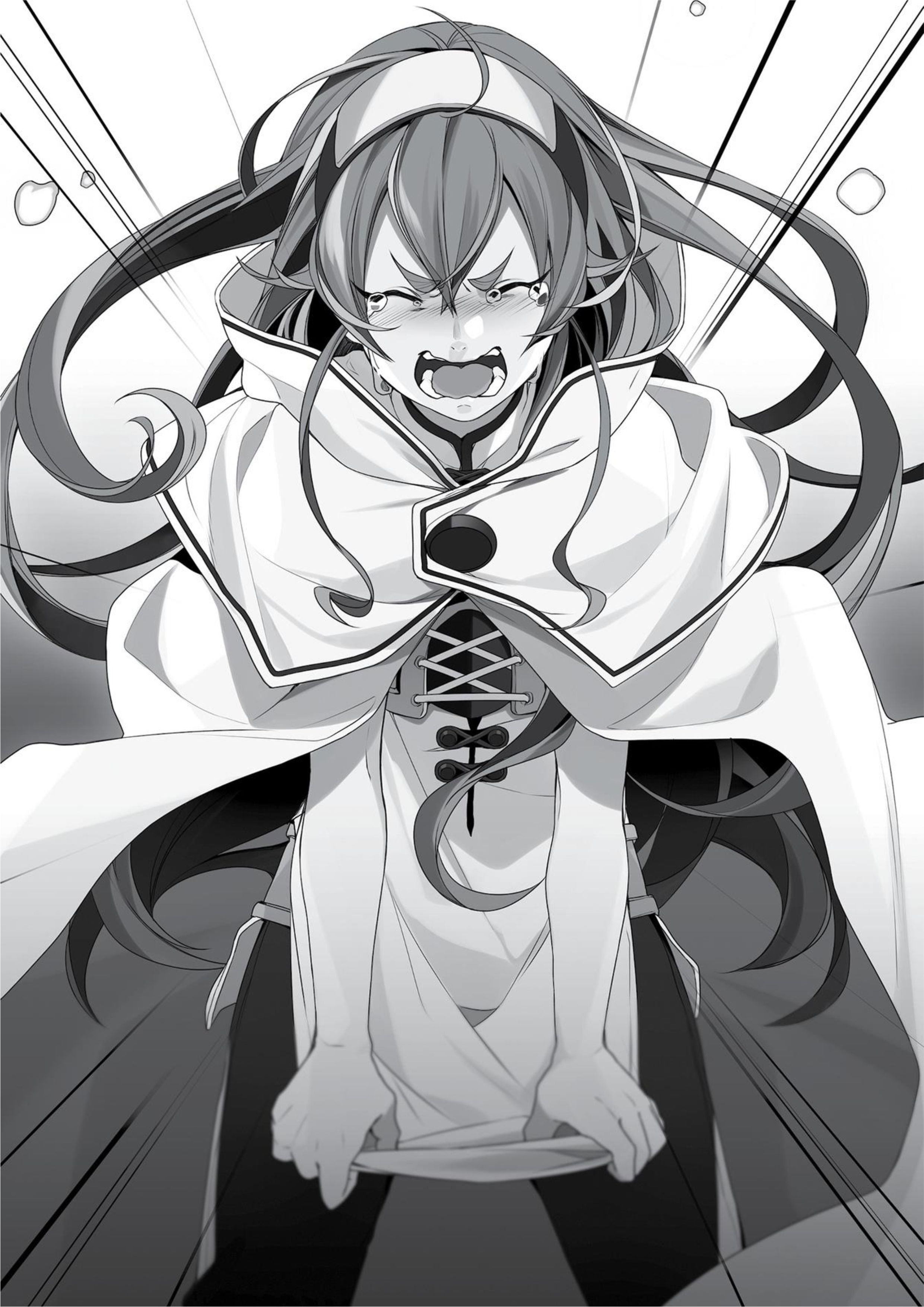 Mushoku Tensei V4 Illustration - Megumi Novel