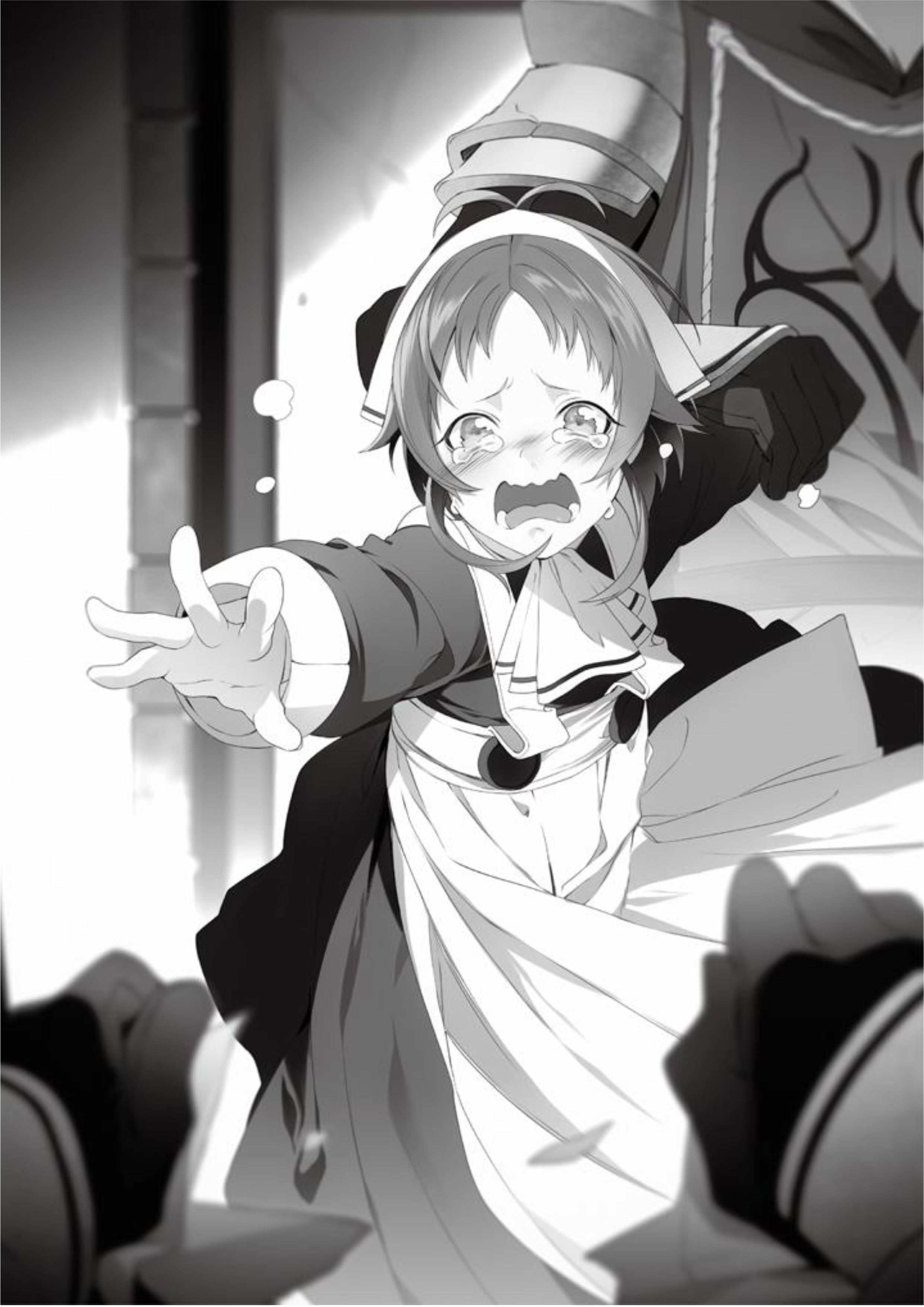 Mushoku Tensei V6 Illustration - Megumi Novel