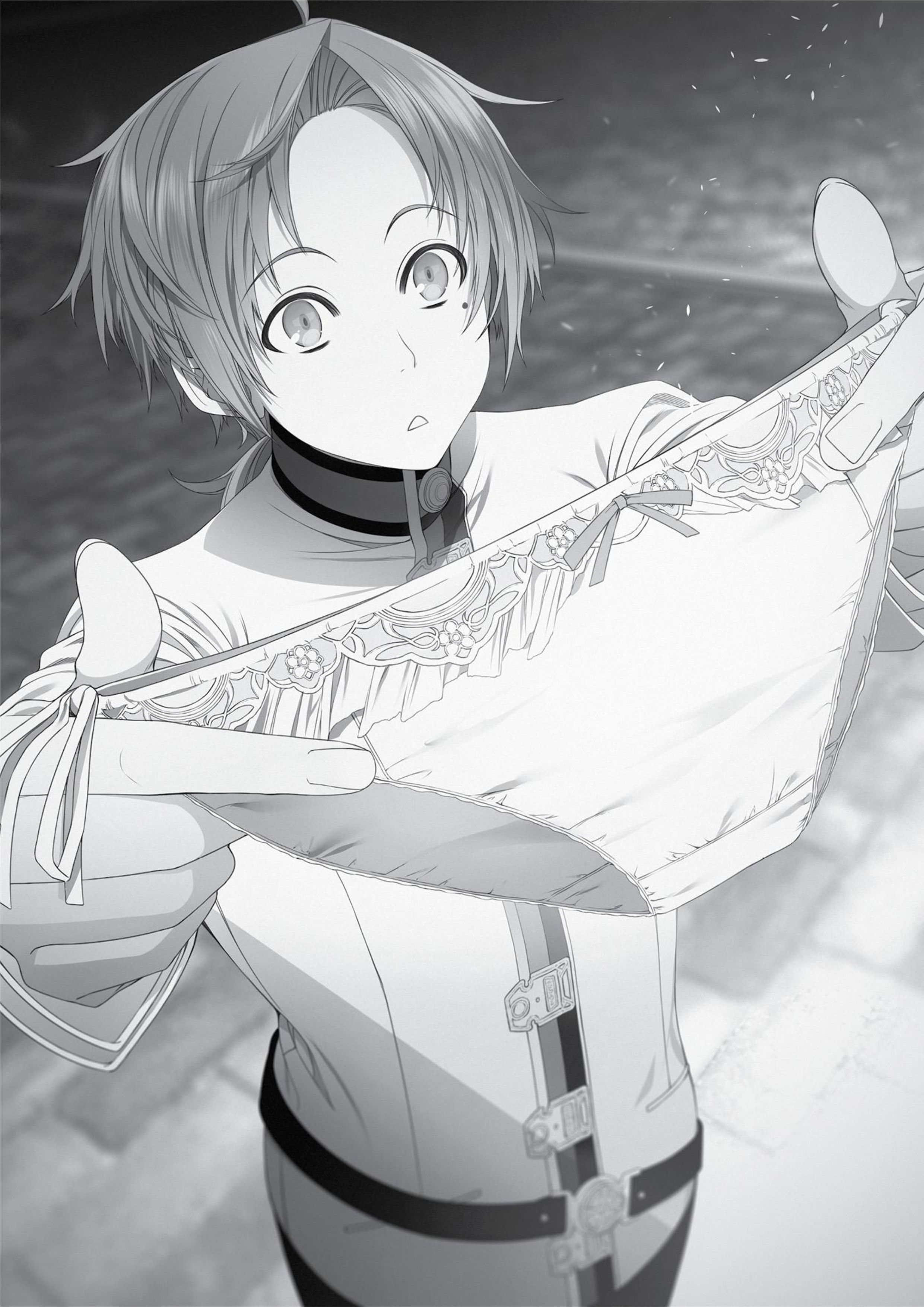 Mushoku Tensei V8 Illustration - Megumi Novel