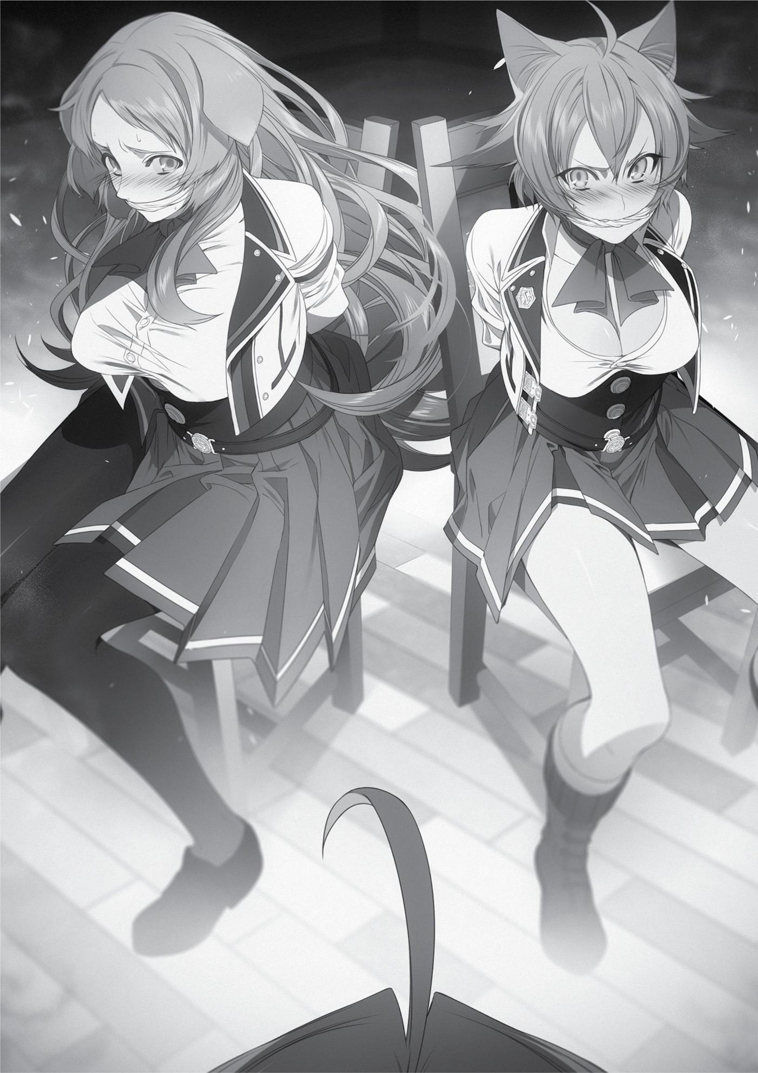 Mushoku Tensei V8 Illustration - Megumi Novel