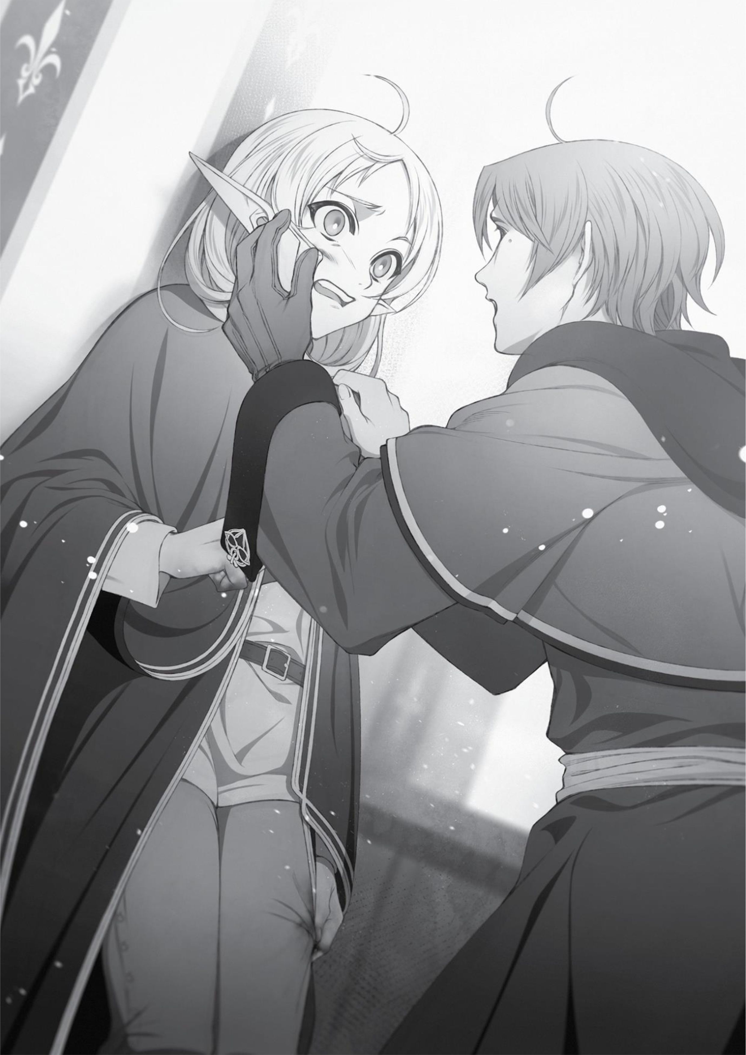 Mushoku Tensei V14 Illustration - Megumi Novel