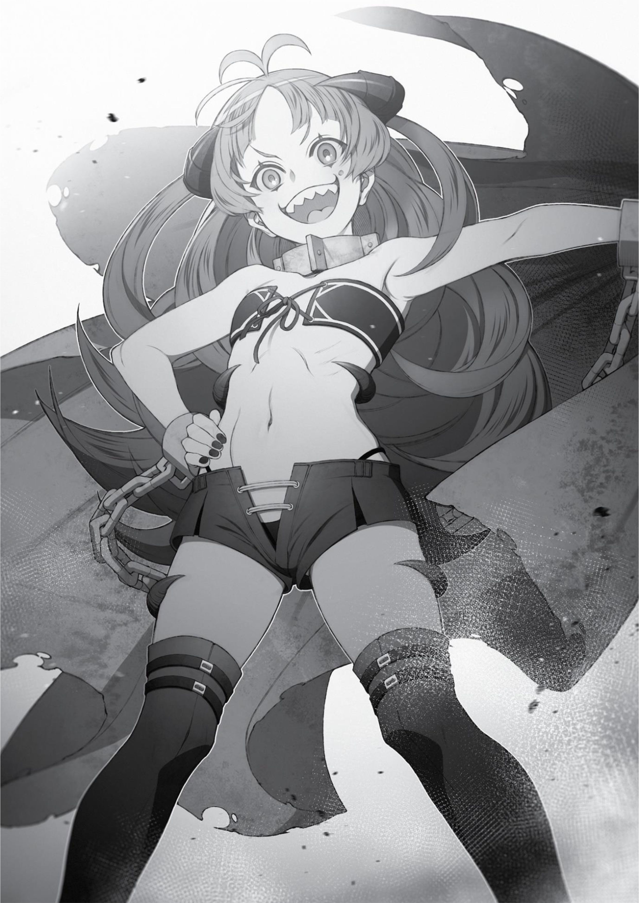 Mushoku Tensei V14 Illustration - Megumi Novel