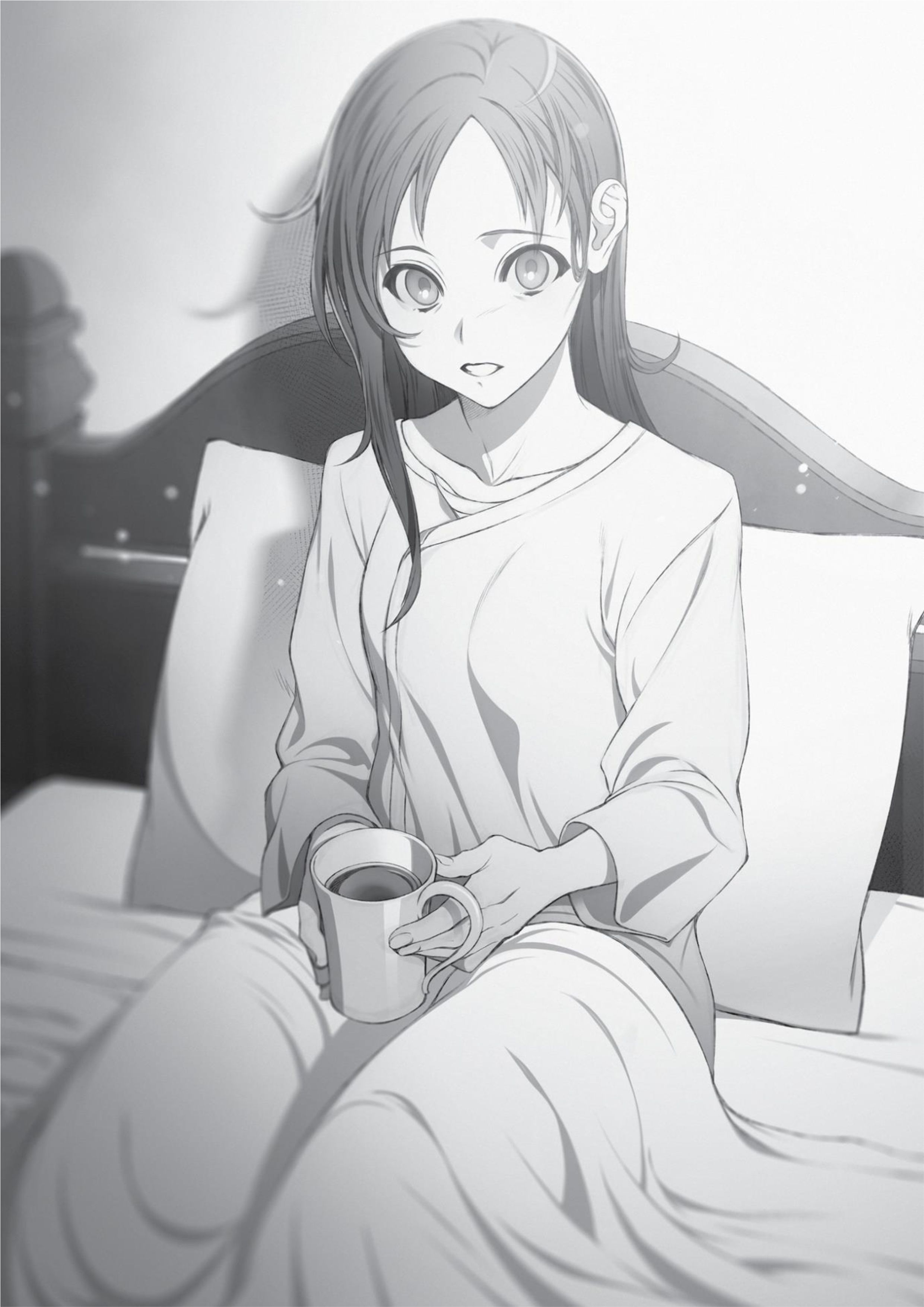 Mushoku Tensei V14 Illustration - Megumi Novel