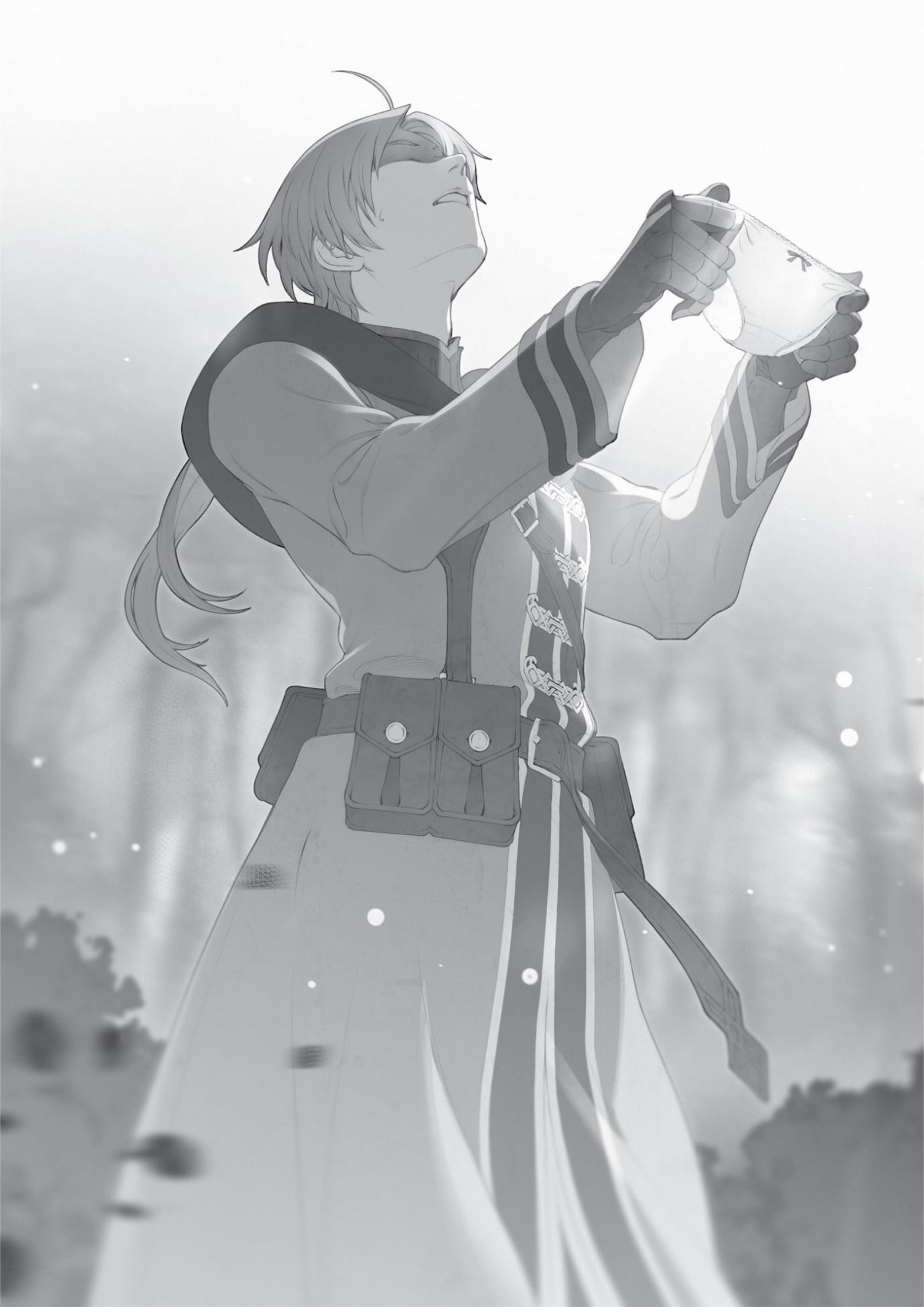 Mushoku Tensei V18 Illustration - Megumi Novel