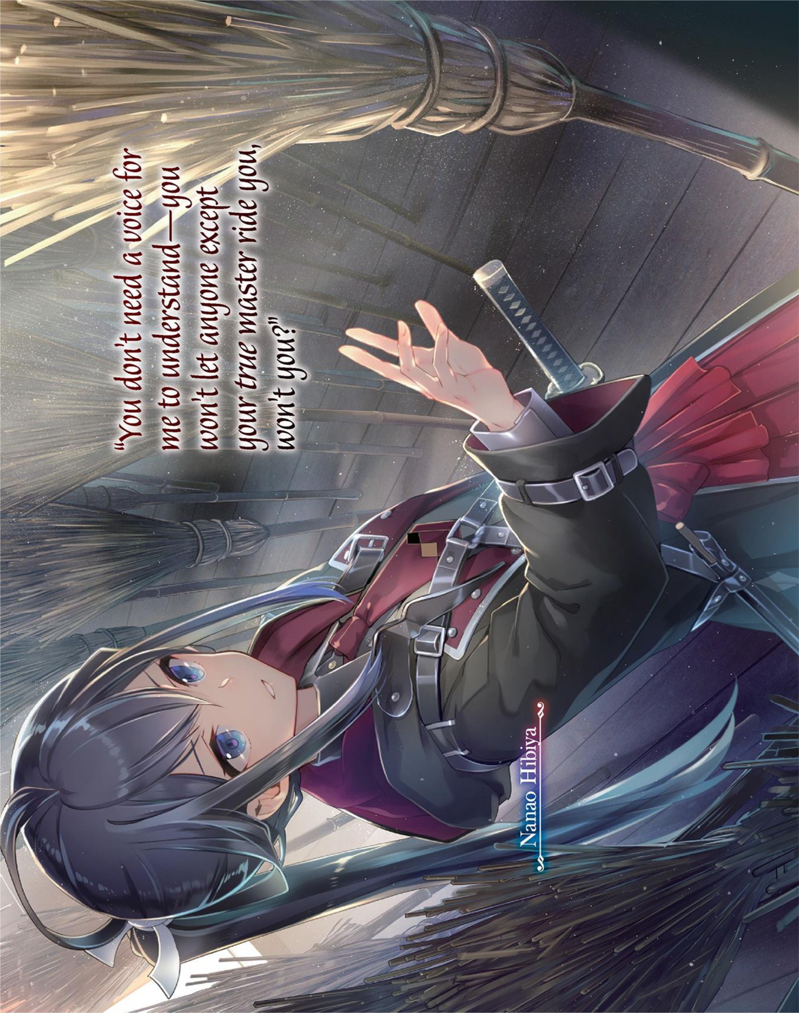 Nanatsu no Maken ga Shihai suru V2 Illustration - Megumi Novel