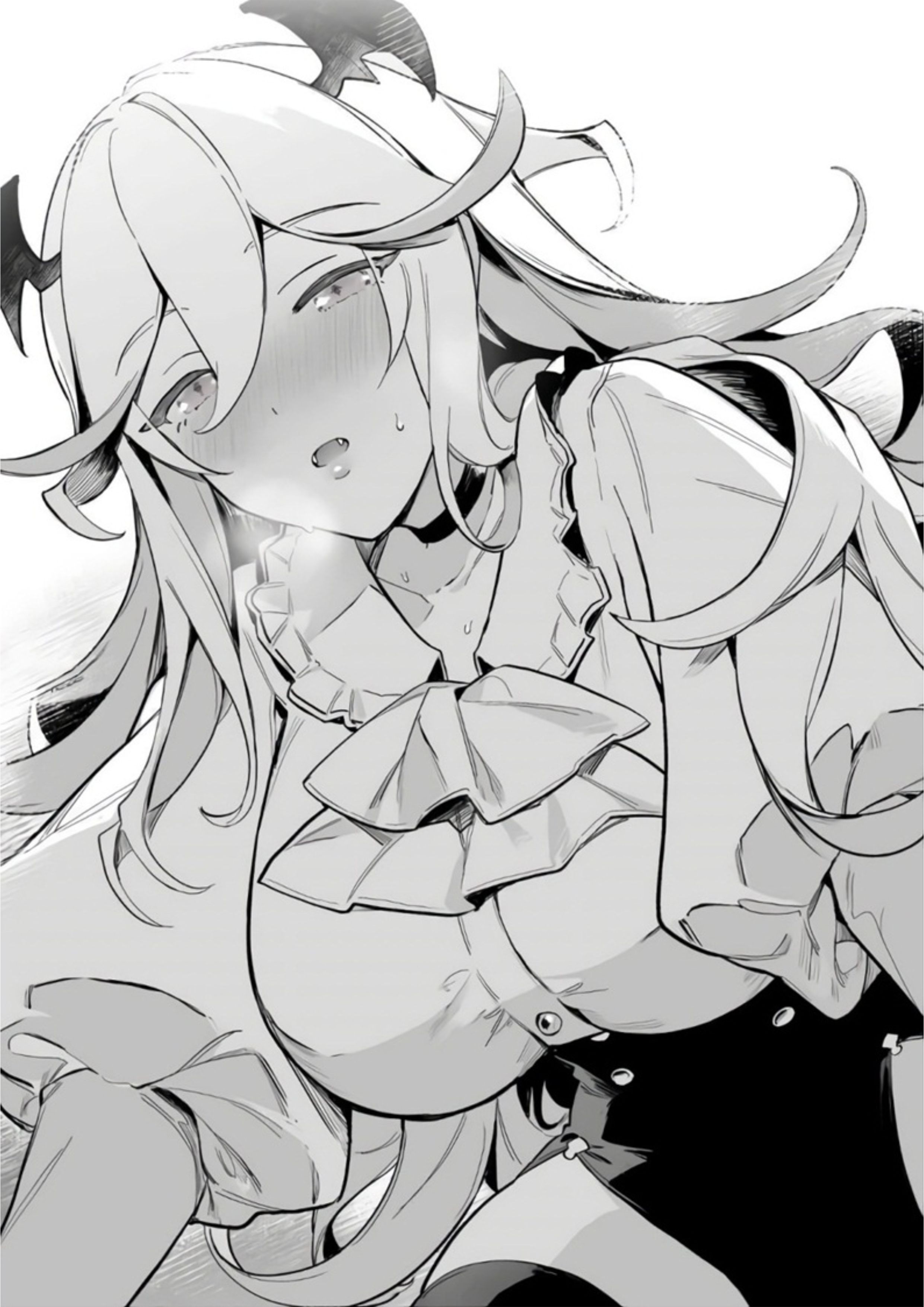 Nankoufuraku no Maou-jou e Youkoso V1 Illustration - Megumi Novel