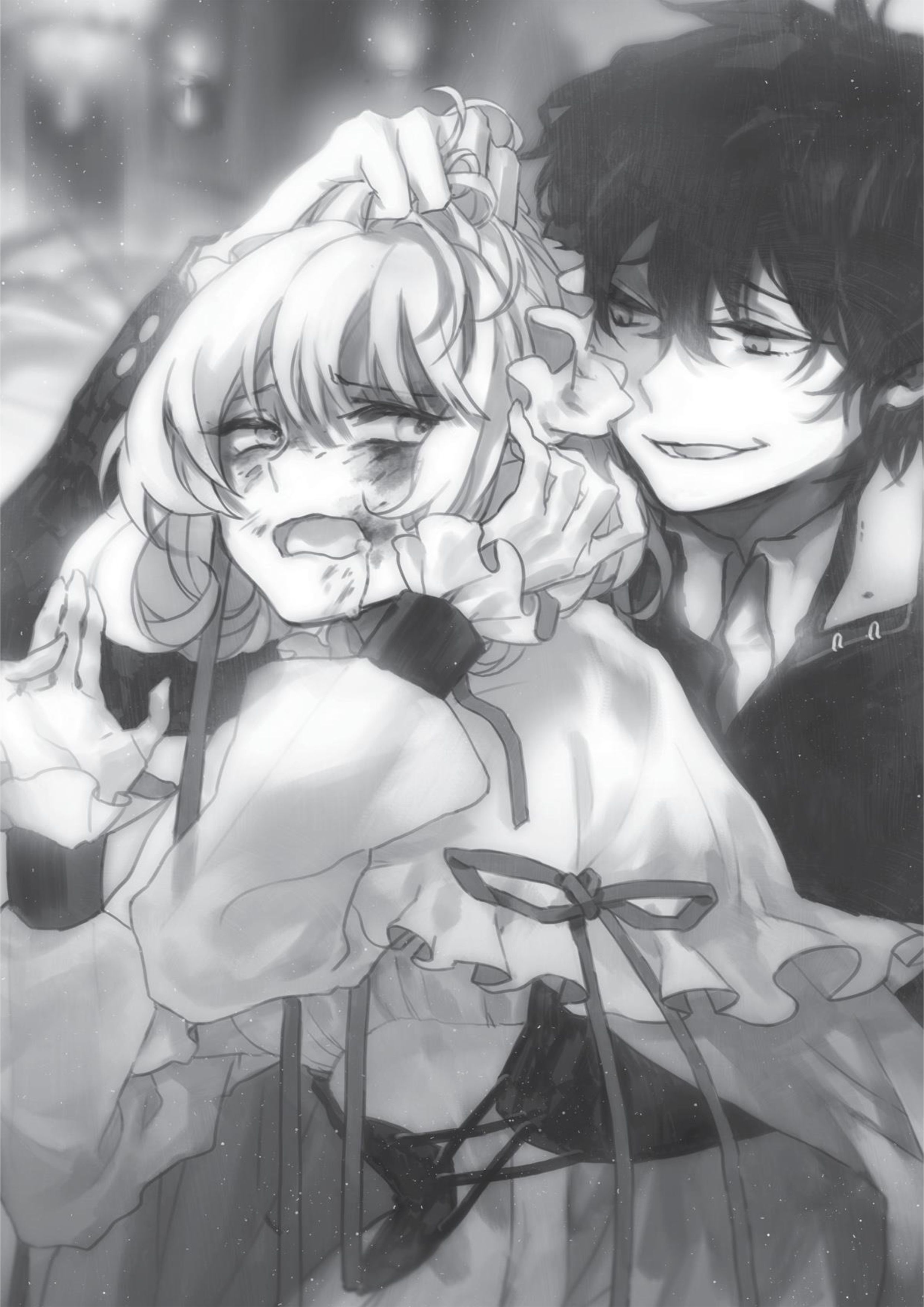 Nidome no Yuusha V1 Official Version Illustration - Megumi Novel